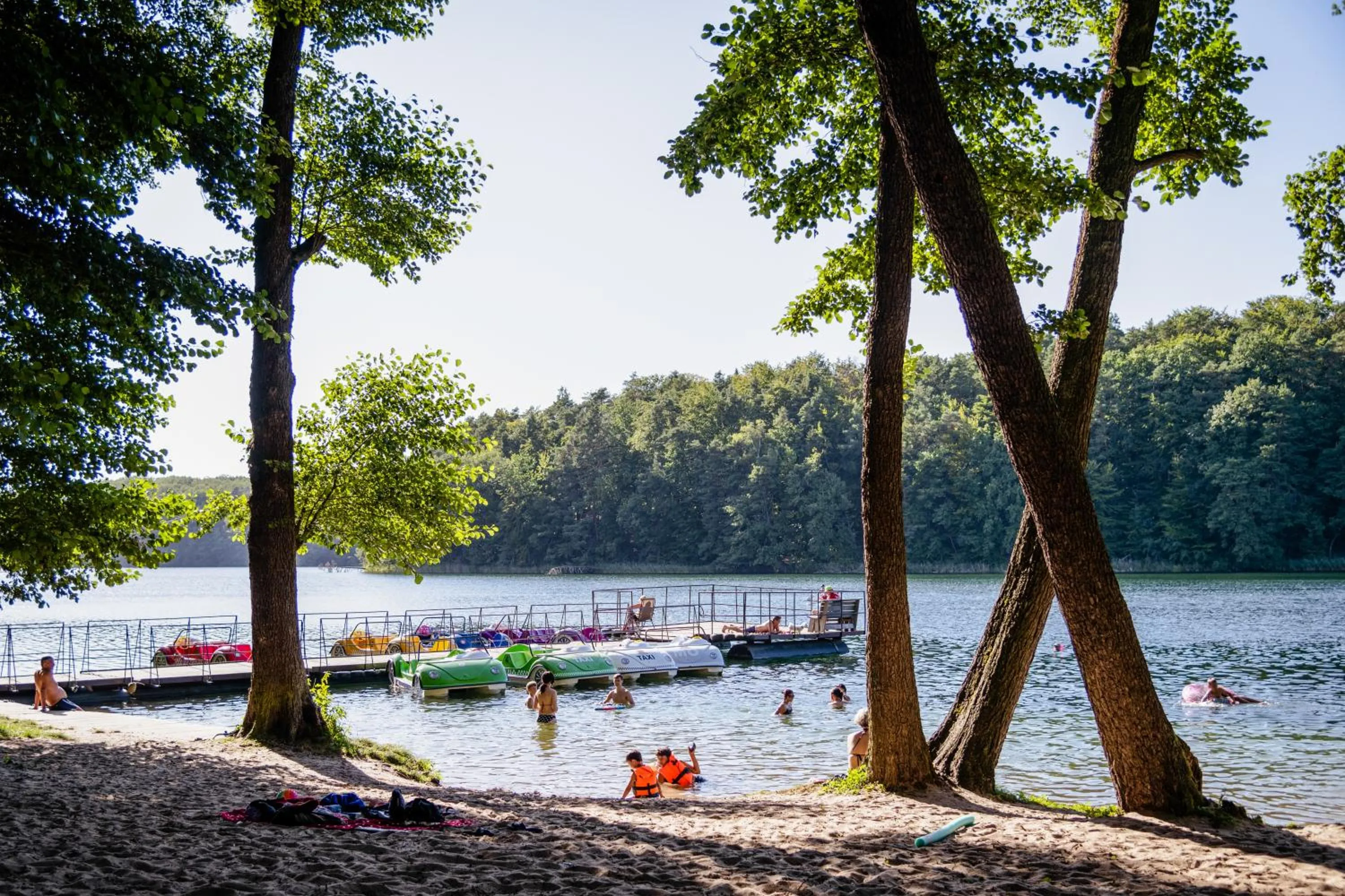 Natural landscape in Zacisze,pl Domki Premium i Bungalowy Deluxe nad Jeziorem Łagowskim
