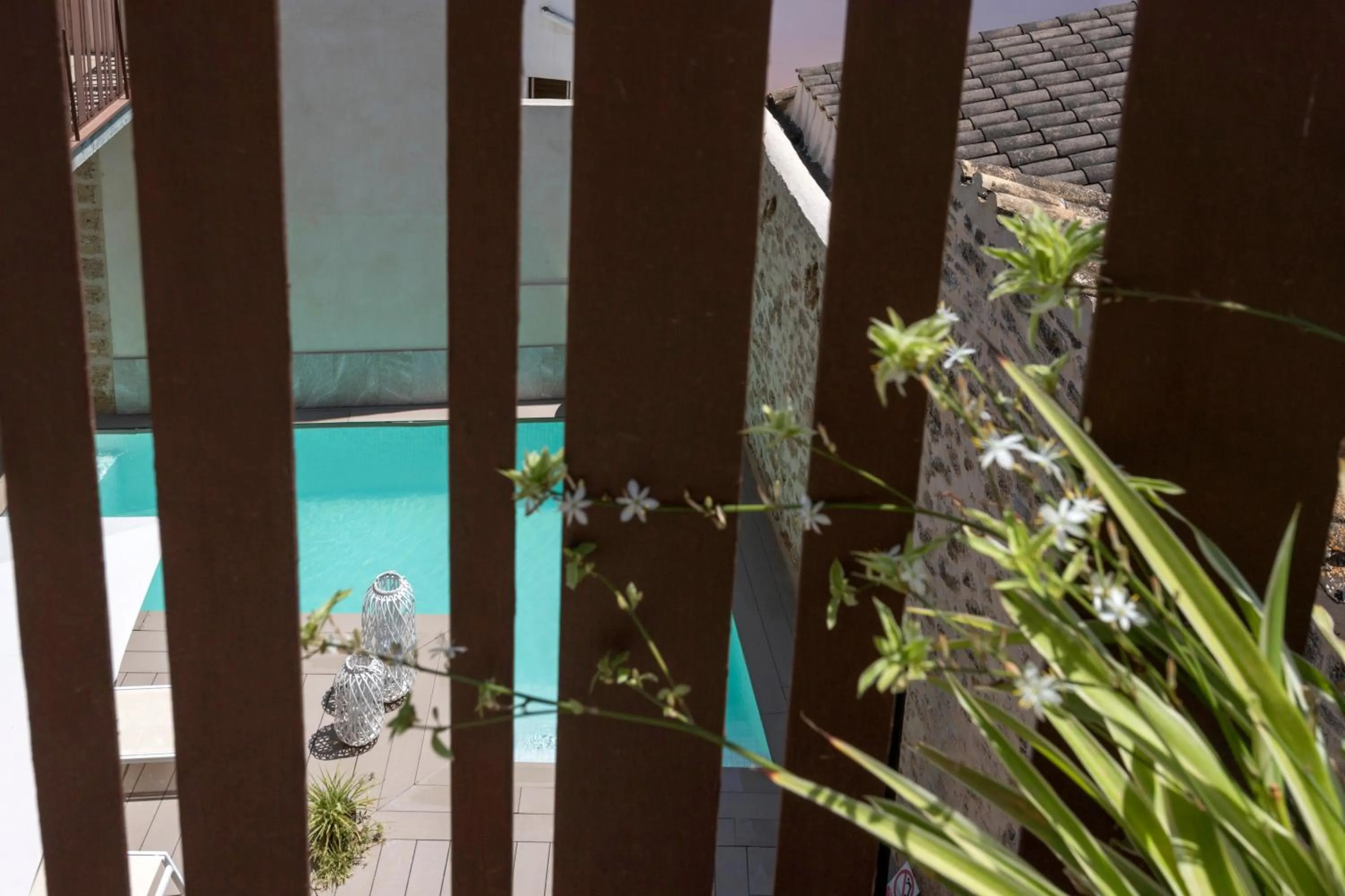 Pool view in Forum Boutique Hotel & Spa - Adults Only