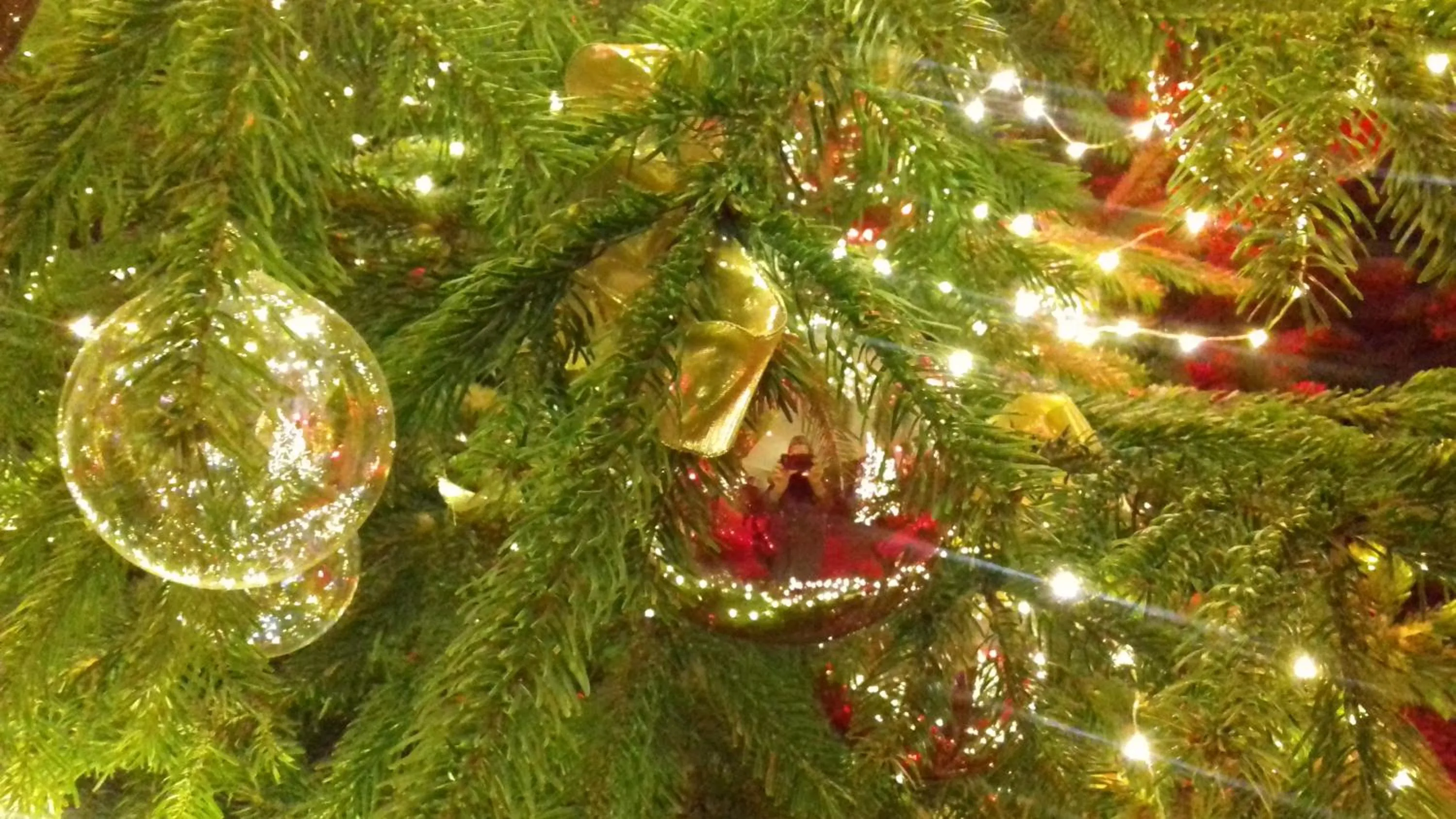 Decorative detail in Luxury House B&B