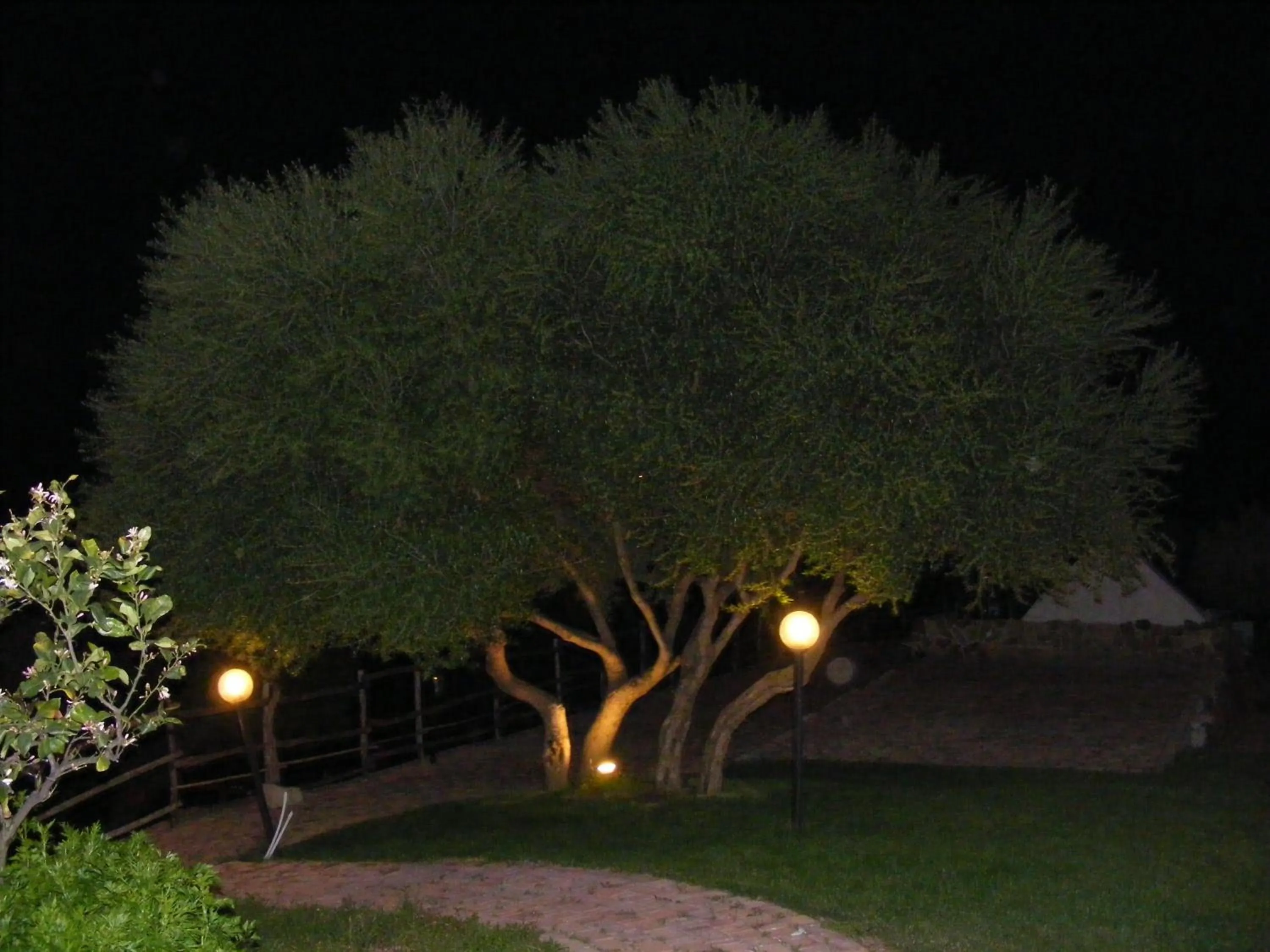Garden in Tenuta Su Vrau