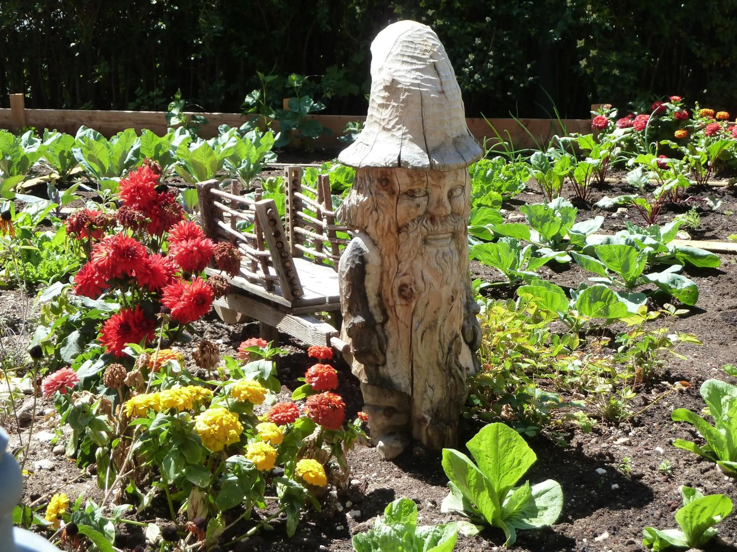 Garden in Antico Albergo Stella d'Italia