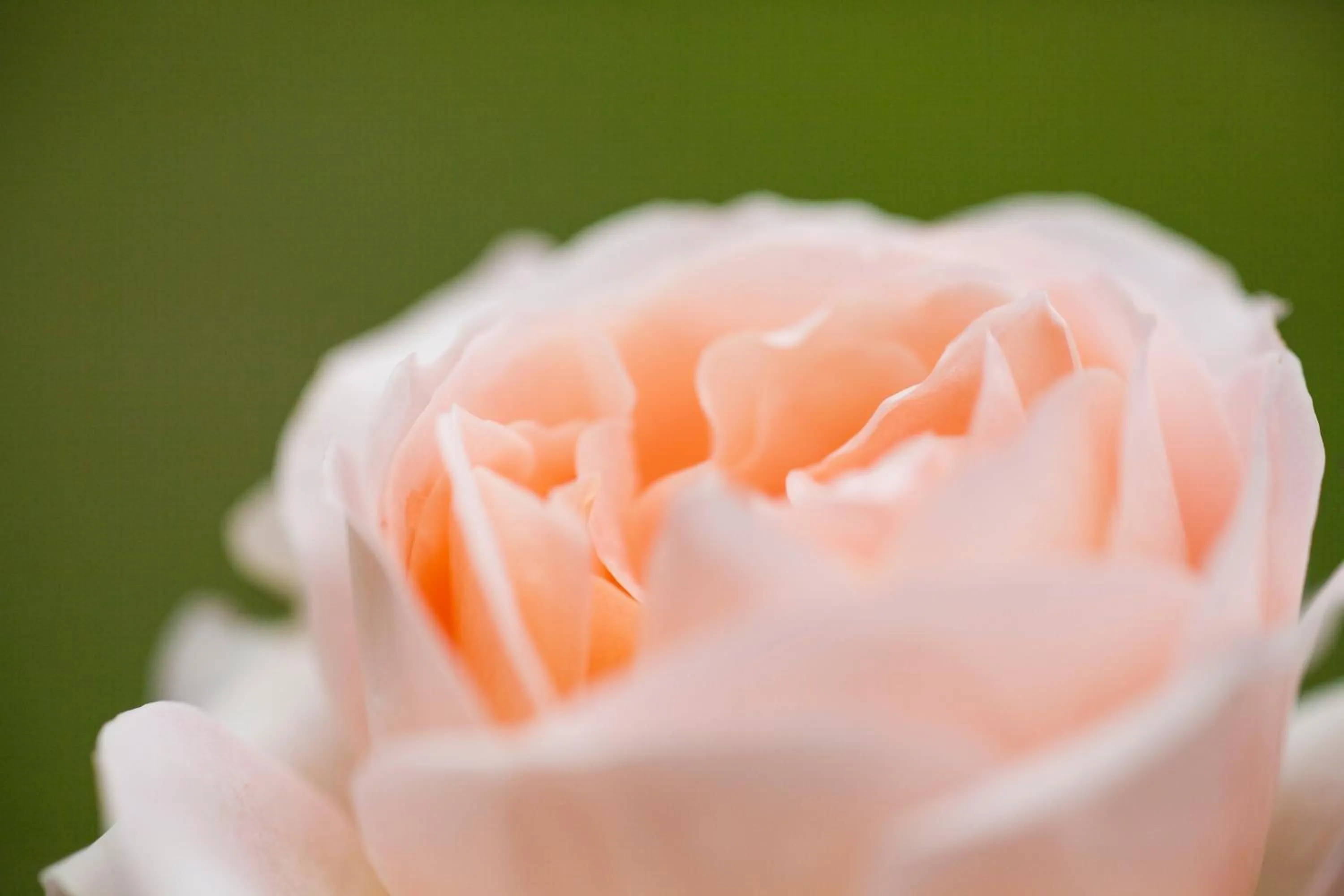 Decorative detail in Agriturismo Il Cavicchio