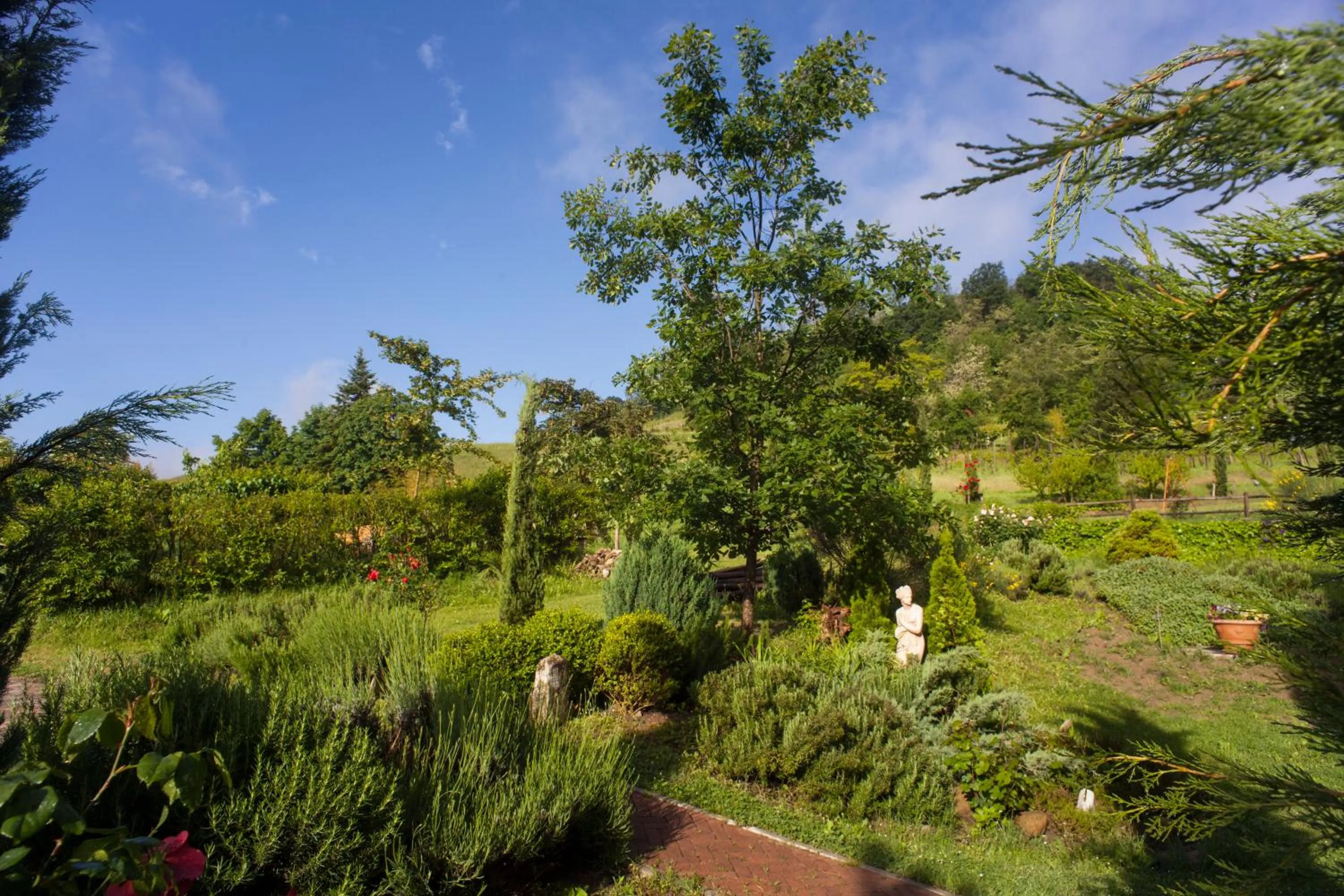 Garden in Agriturismo Il Cavicchio