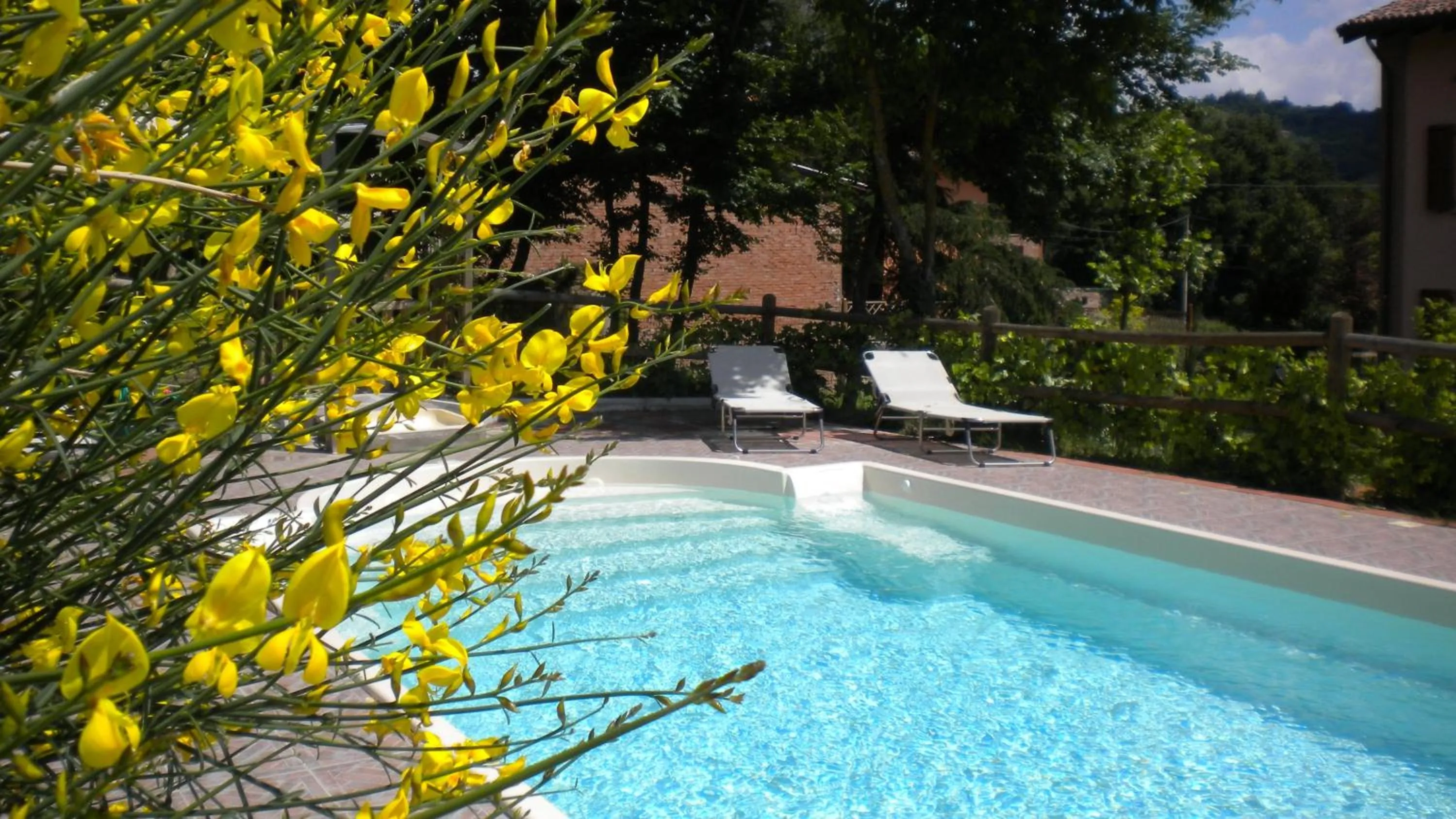 Swimming pool in Agriturismo Il Cavicchio