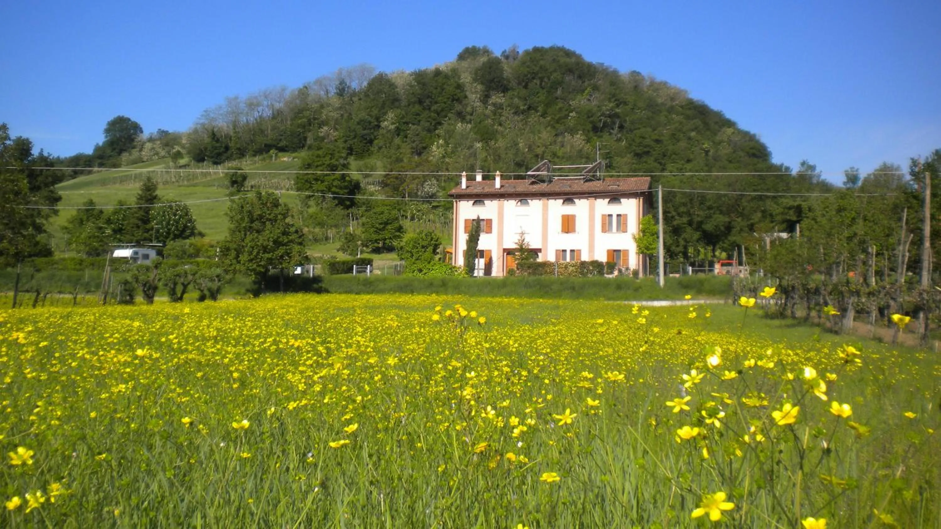 Facade/entrance in Agriturismo Il Cavicchio
