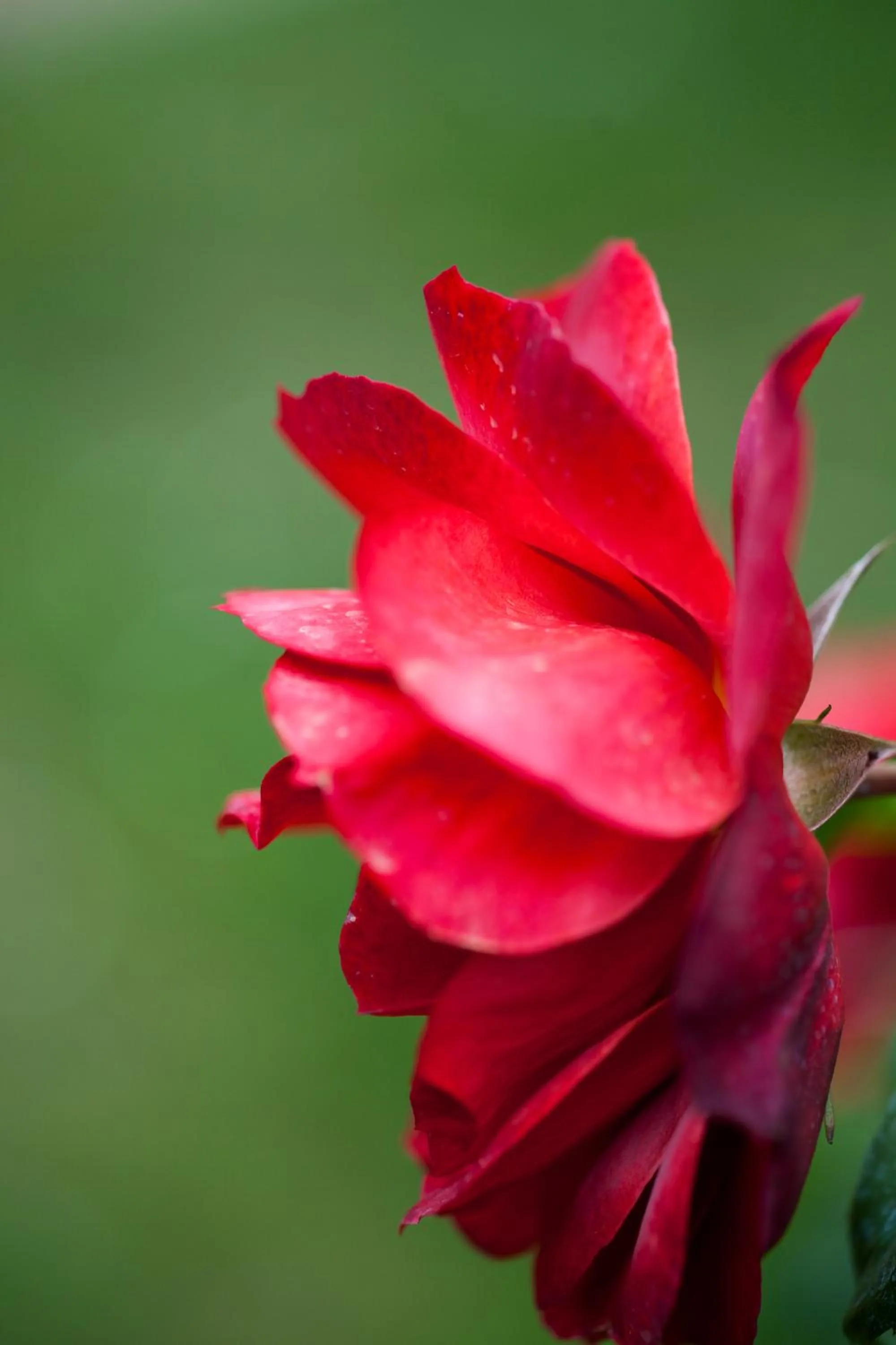 Decorative detail in Agriturismo Il Cavicchio