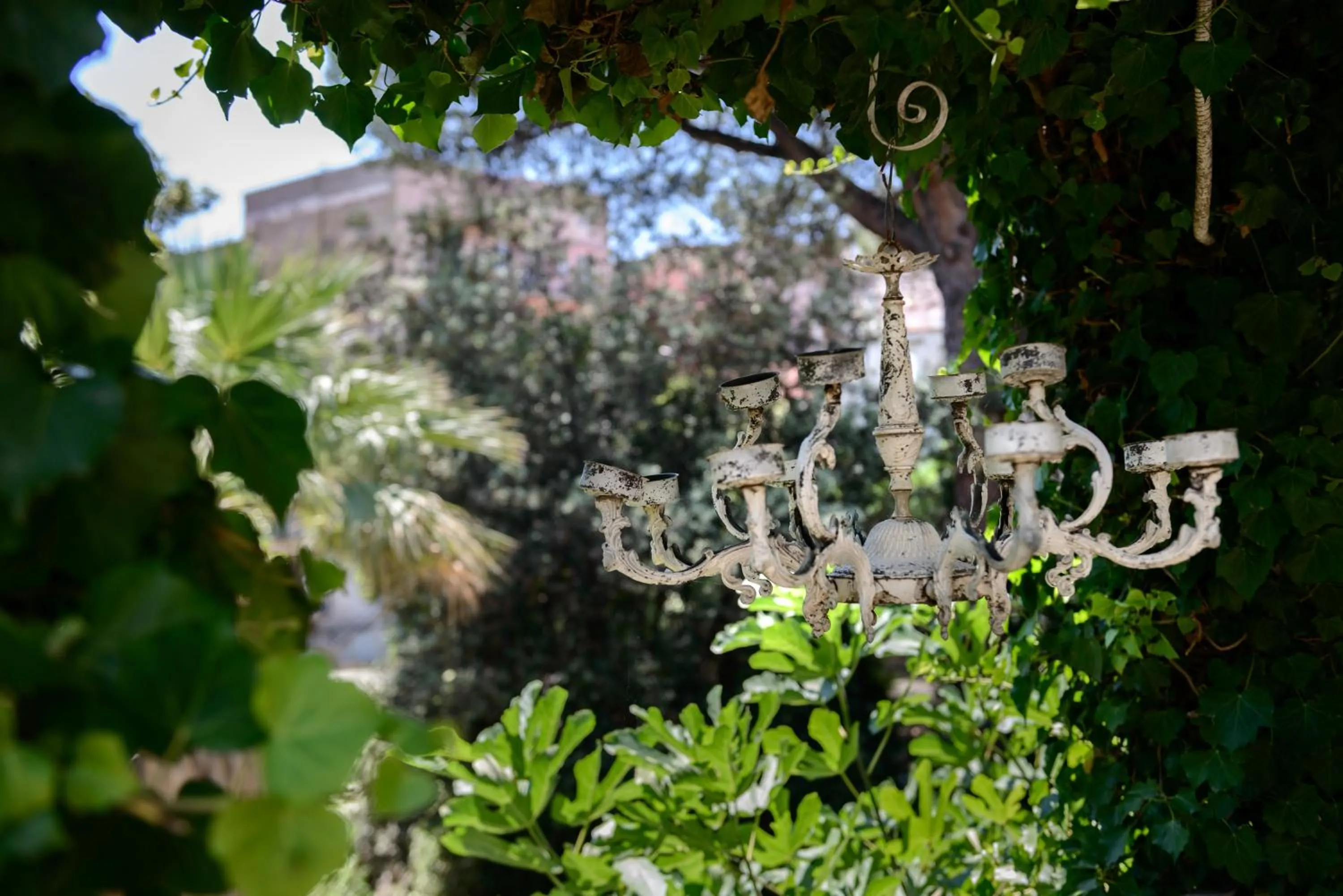 Other in Giardino Segreto