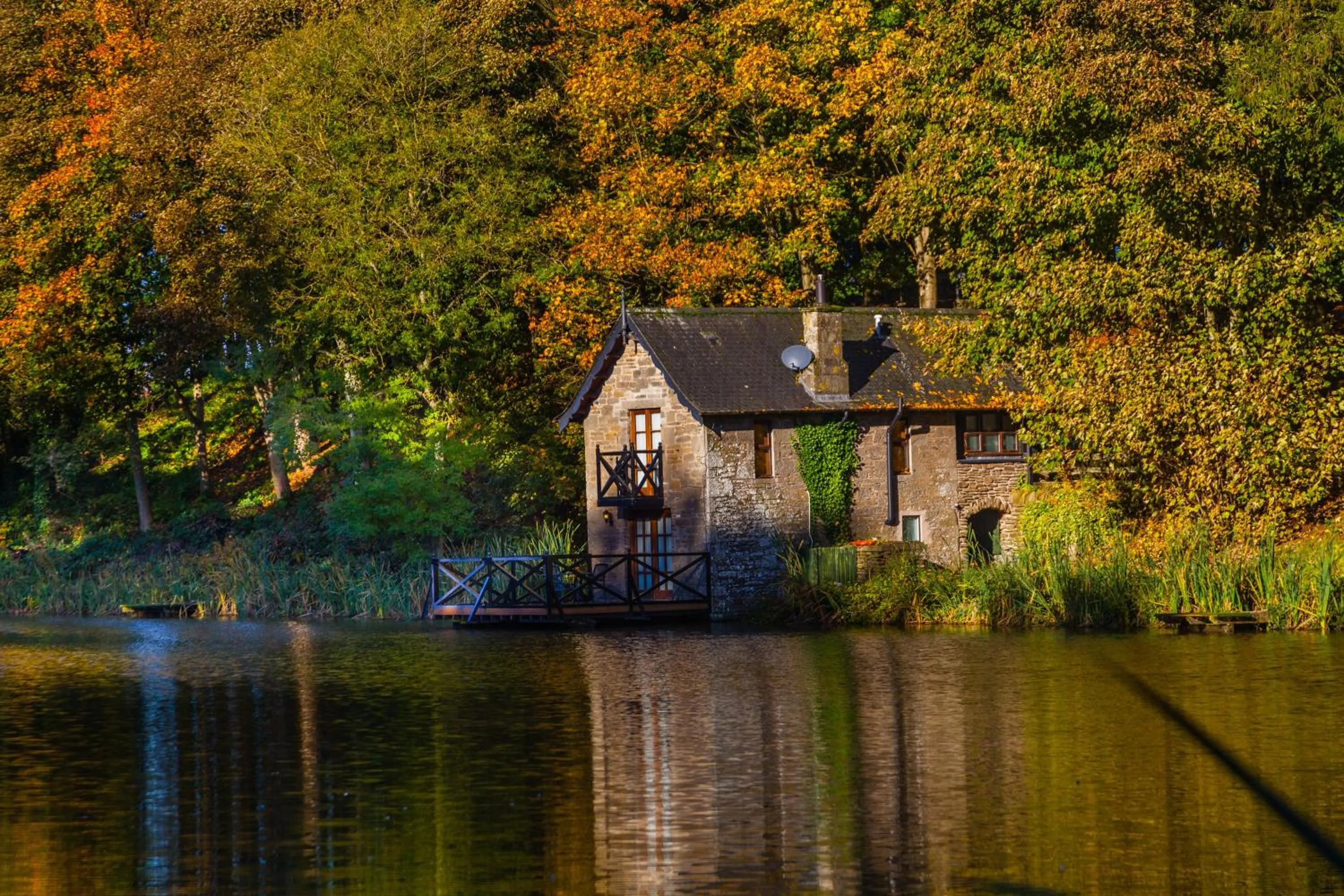 Lake view in Forbes of Kingennie