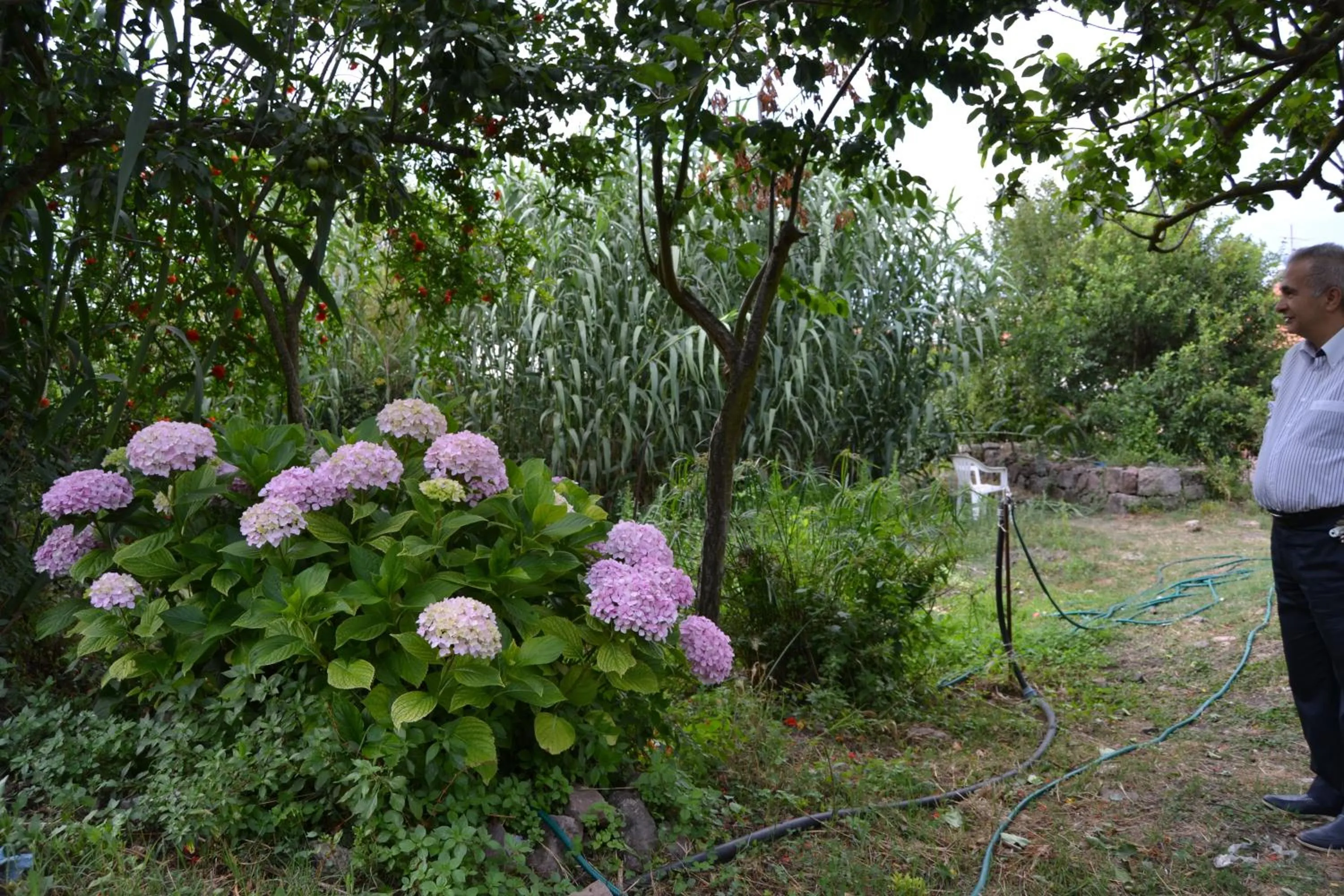 Su Cantaru Guesthouse