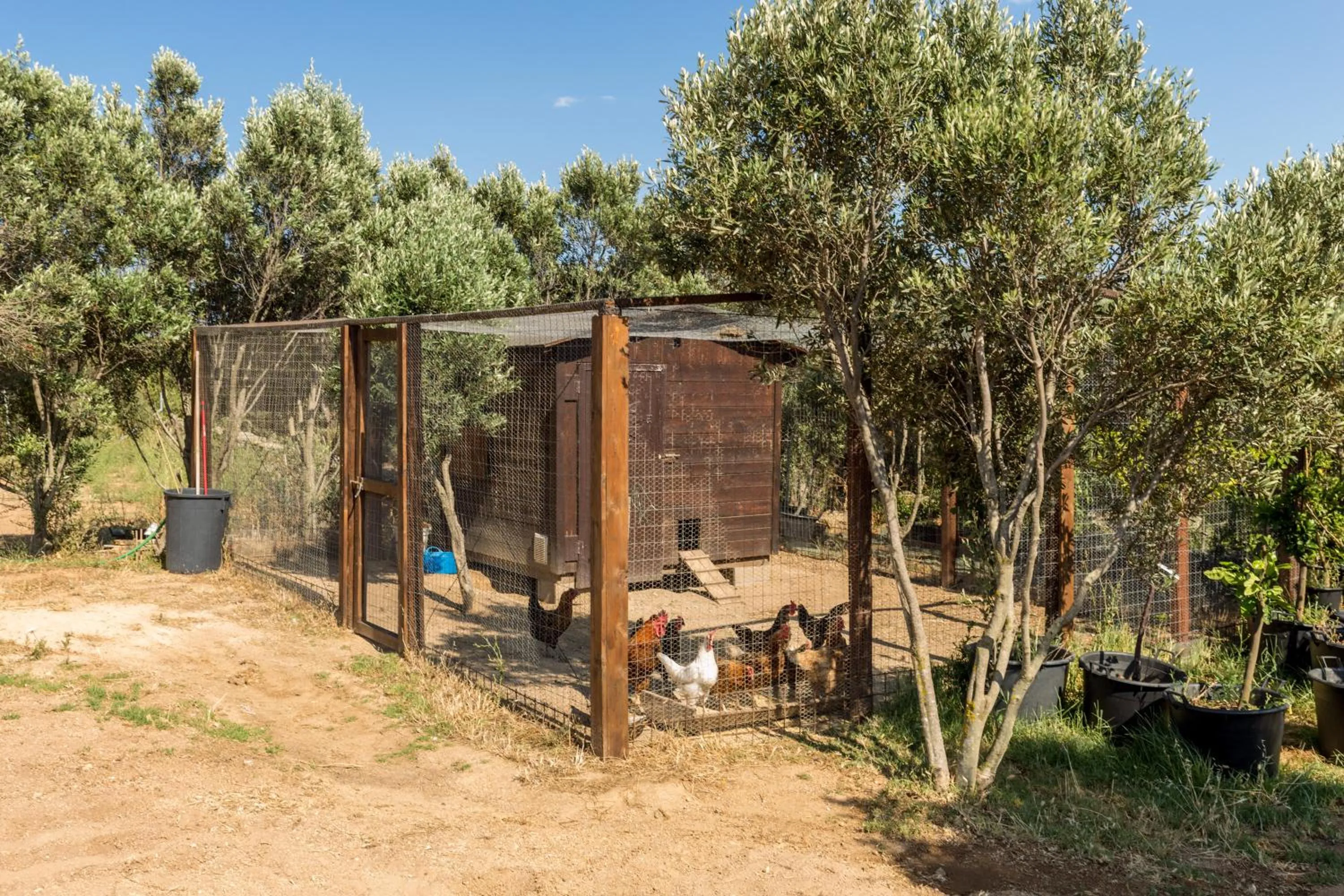 Property building in Tenuta Petra Bianca