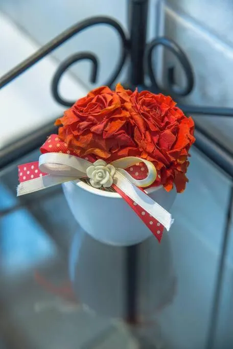 Agriturismo Ai Carpini