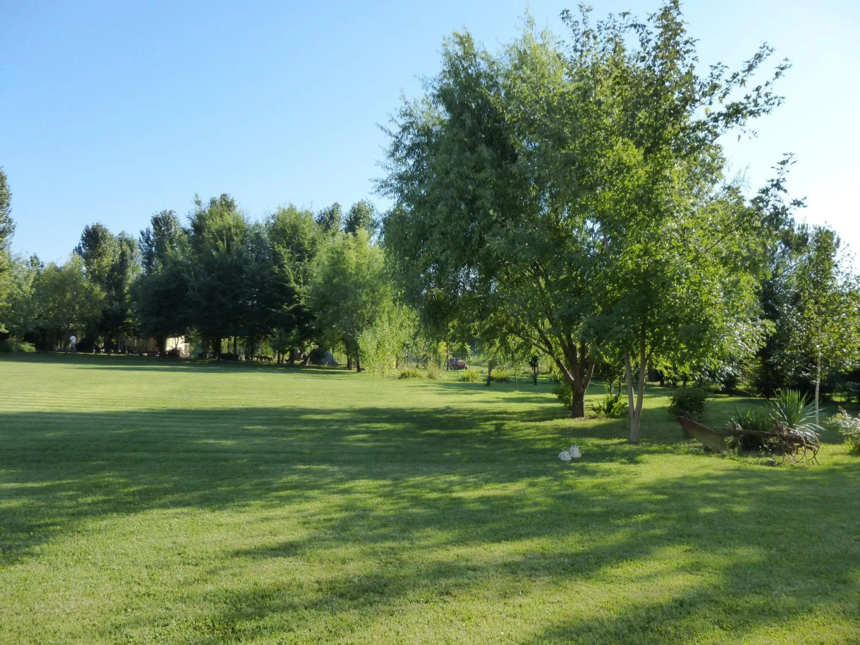 Garden in Agriturismo Ai Carpini
