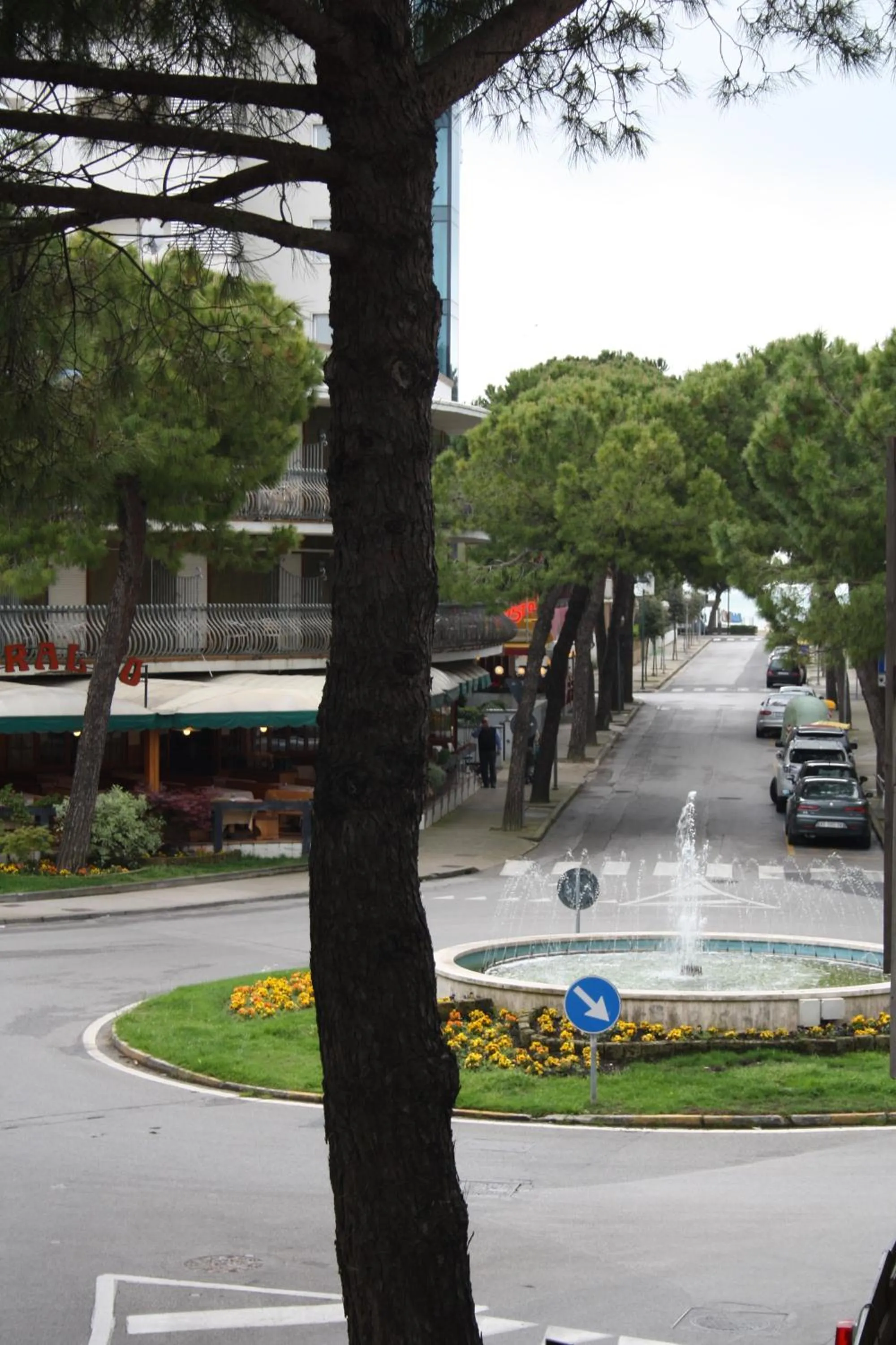 View (from property/room) in Hotel Etna