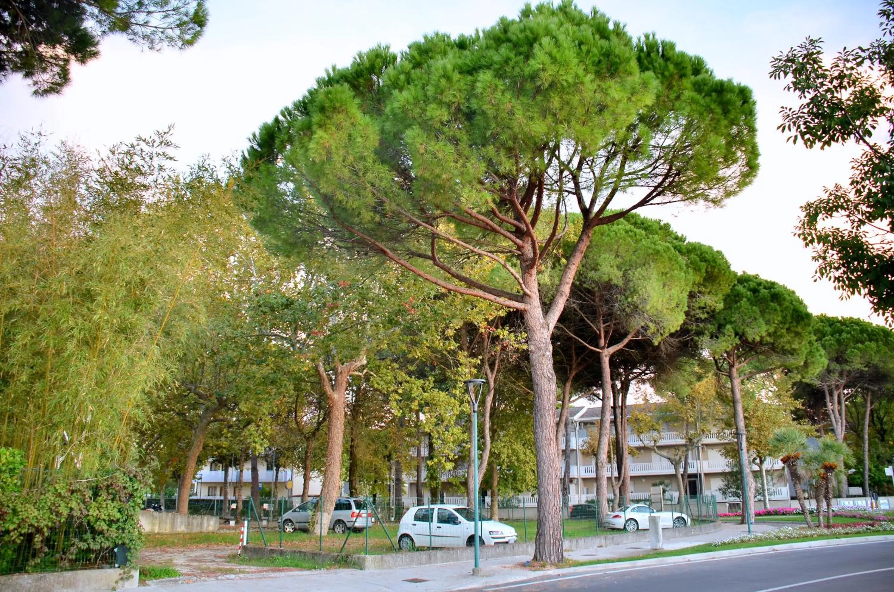 Parking in Hotel Etna