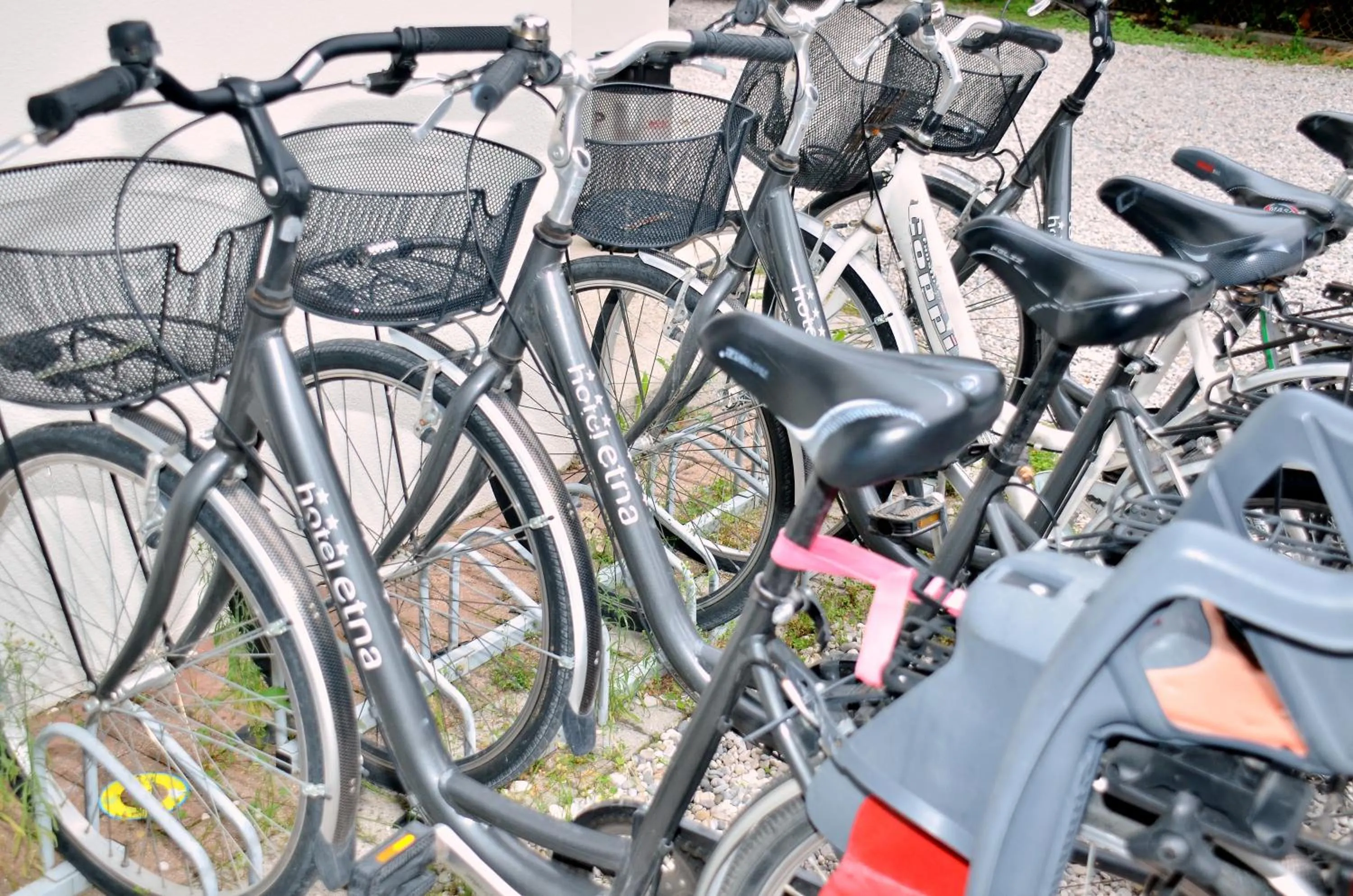 Cycling in Hotel Etna