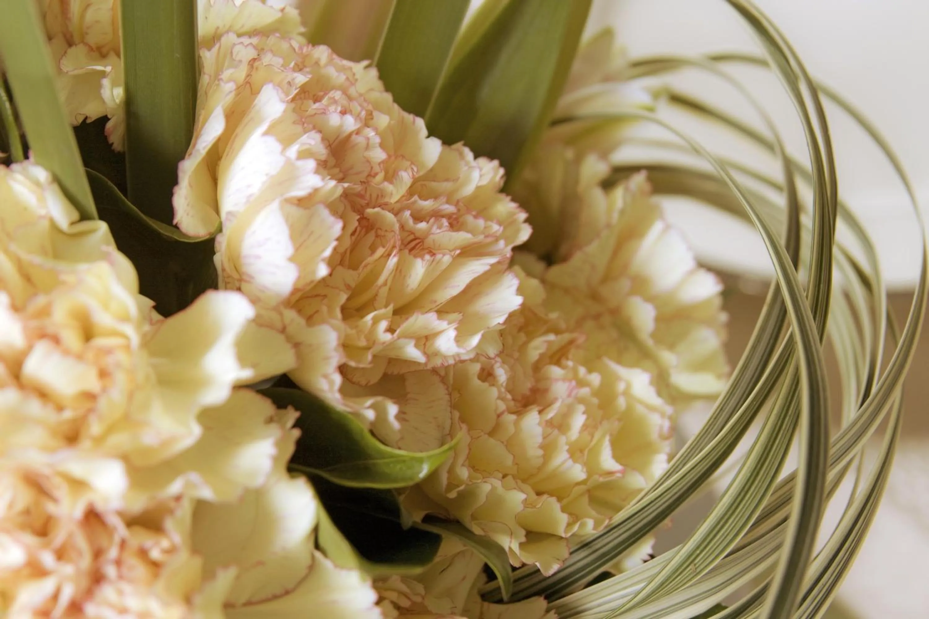 Decorative detail, Food in Oracle Hotel and Residences