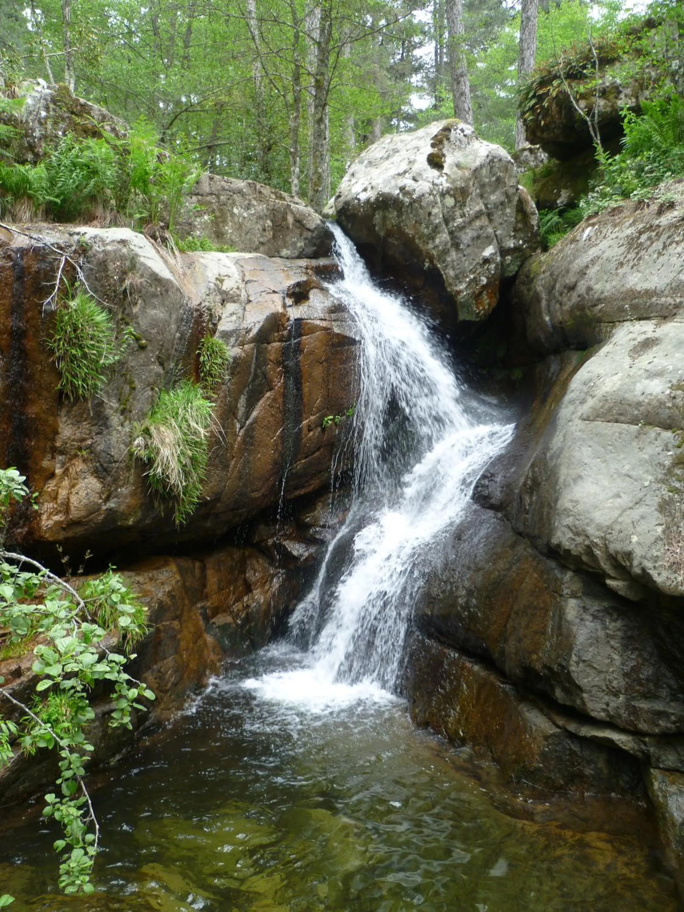 Area and facilities in Hôtel et Résidence Costa Rossa