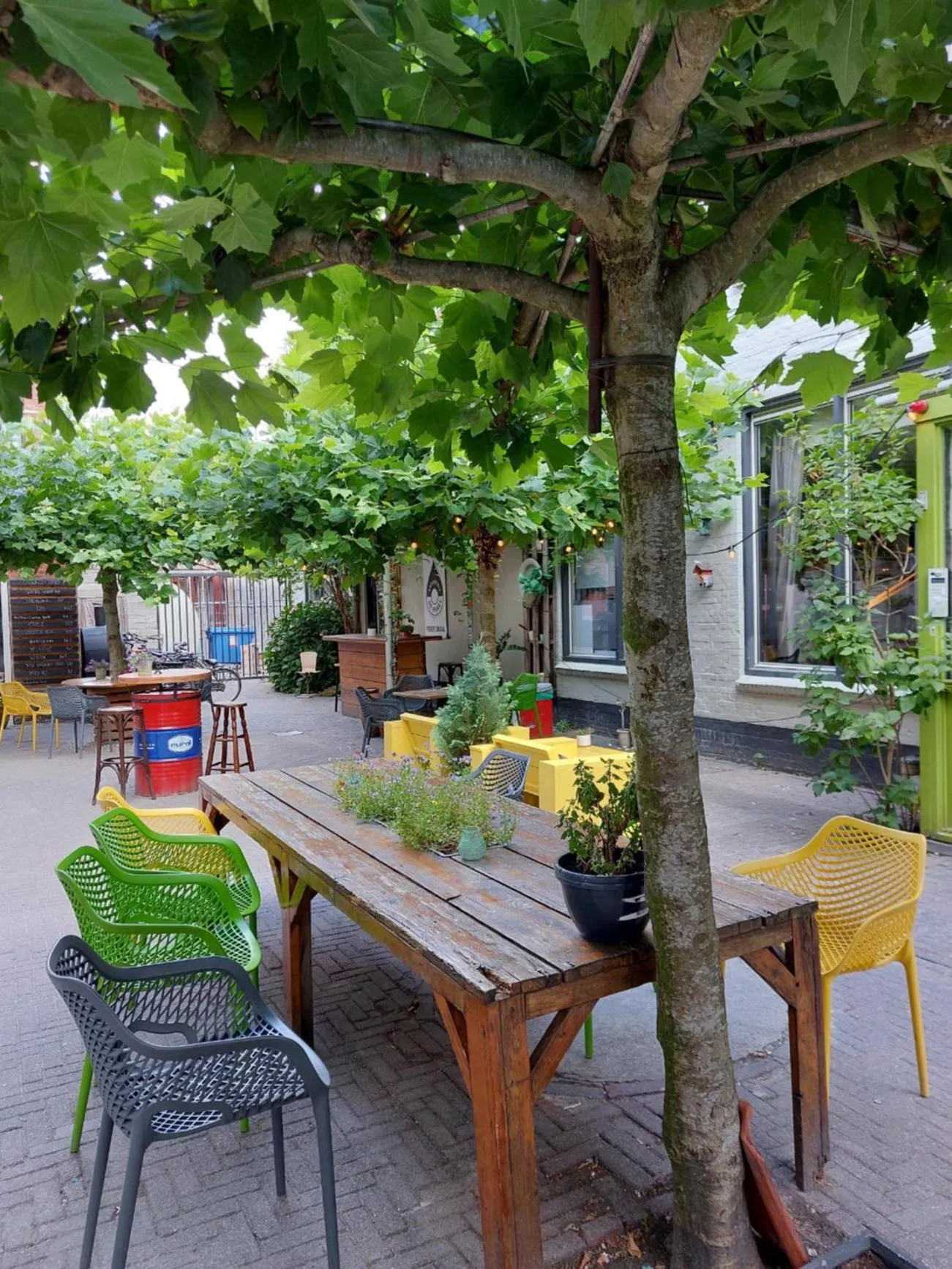 Balcony/Terrace in Simplon Hostel