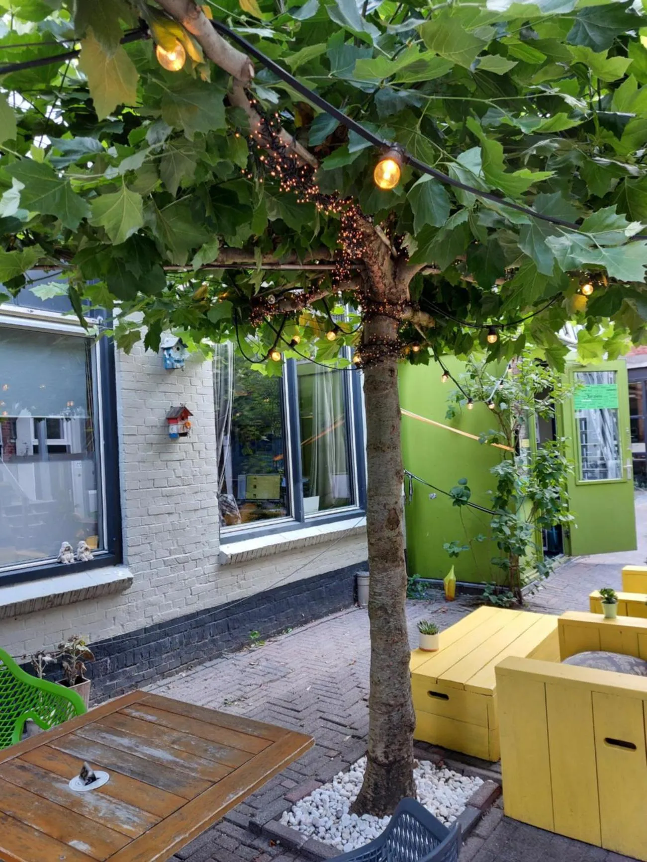 Balcony/Terrace in Simplon Hostel