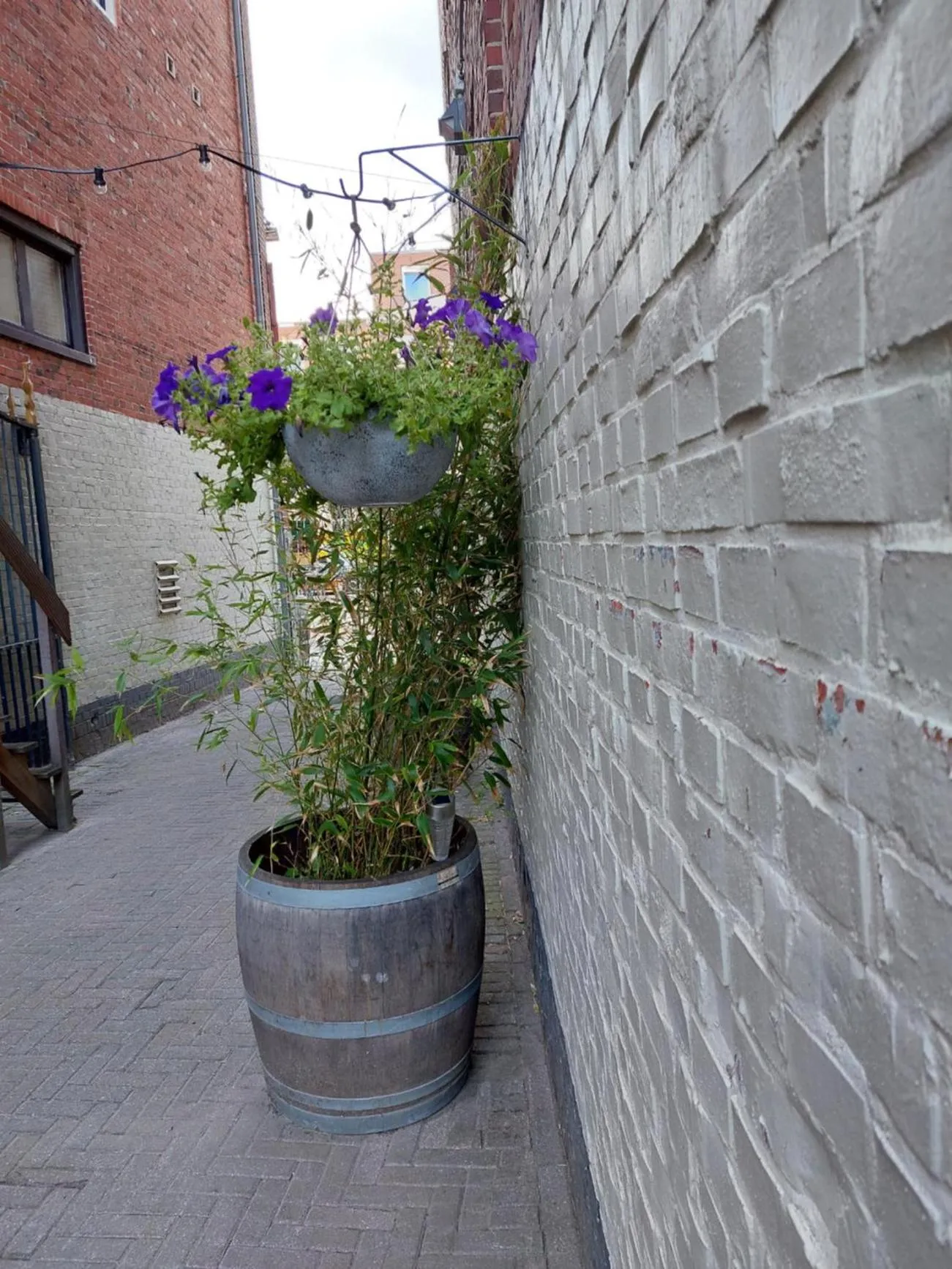 Property building in Simplon Hostel