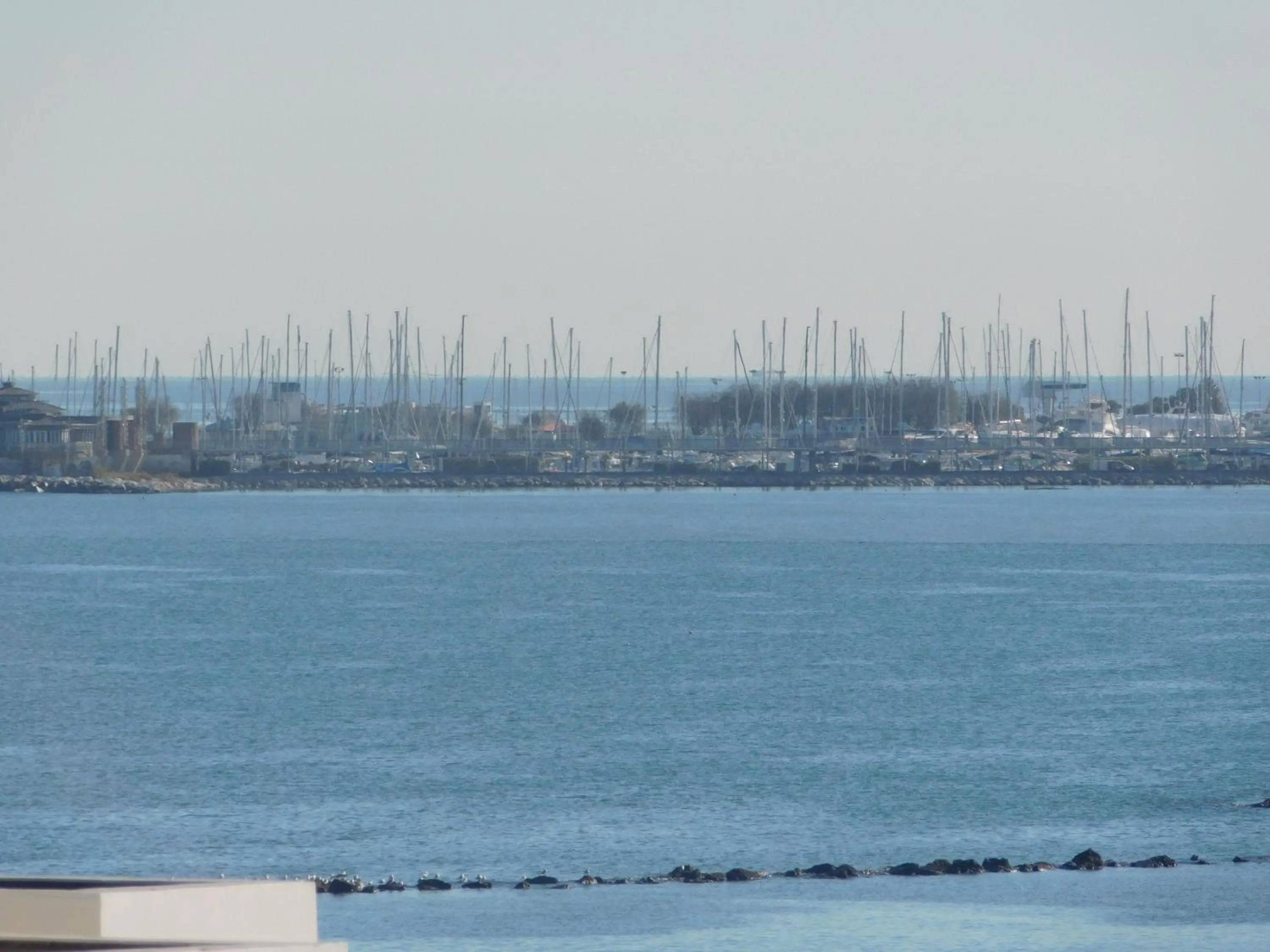 View (from property/room) in Hotel Dolores