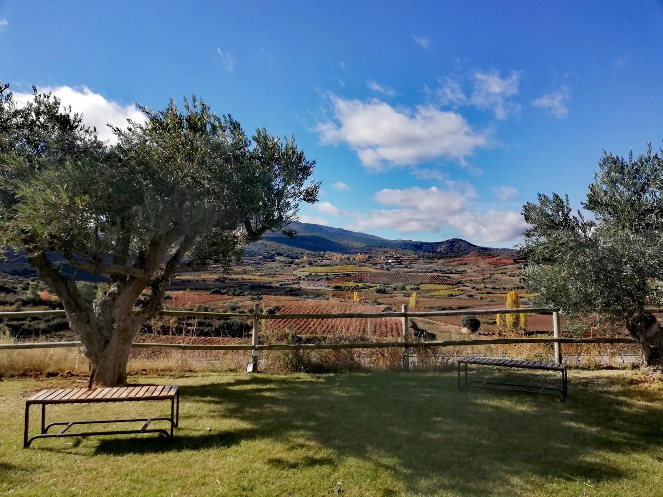 Natural landscape in Hotel-Bodega Finca de Los Arandinos
