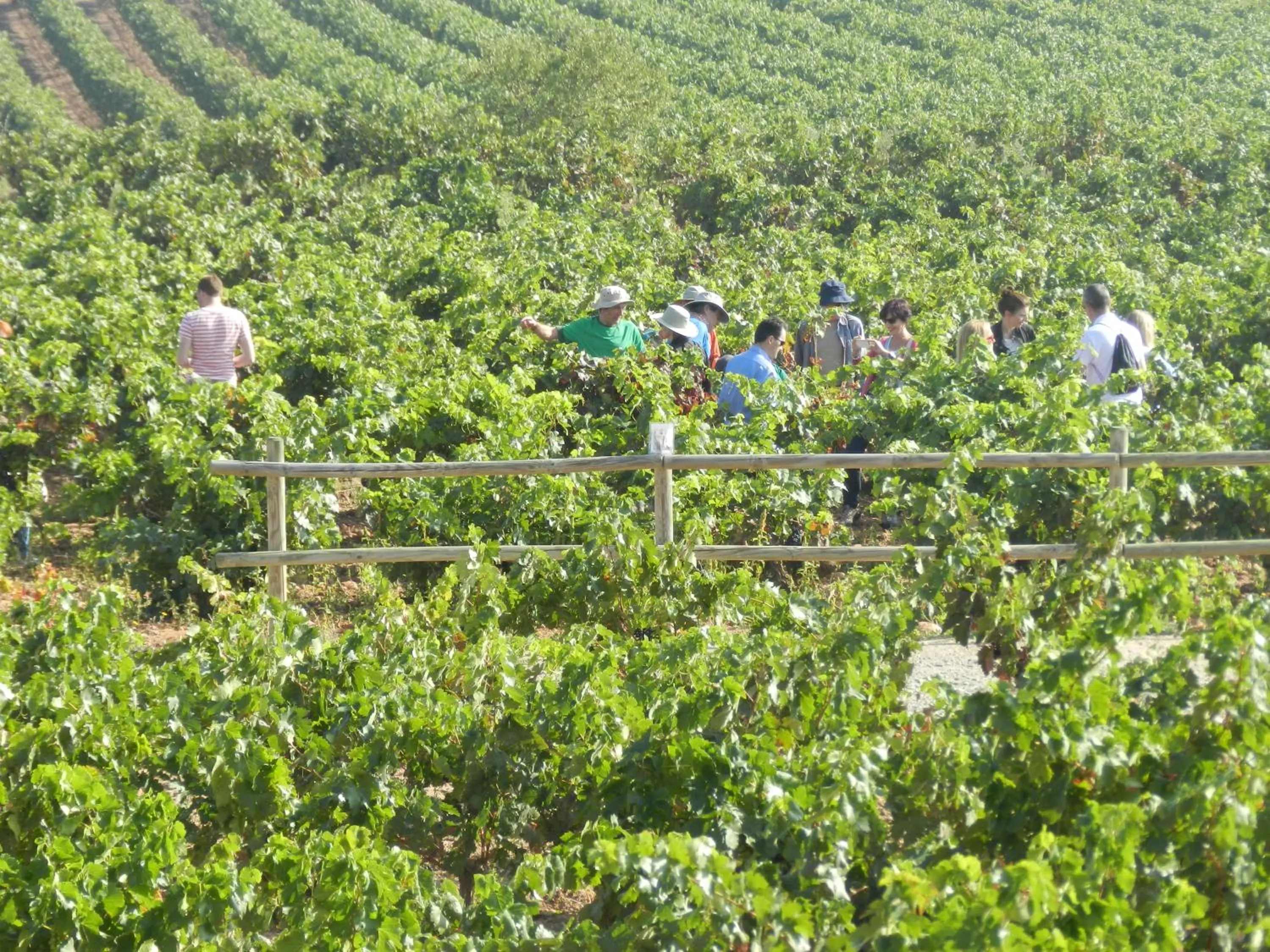 People in Hotel-Bodega Finca de Los Arandinos