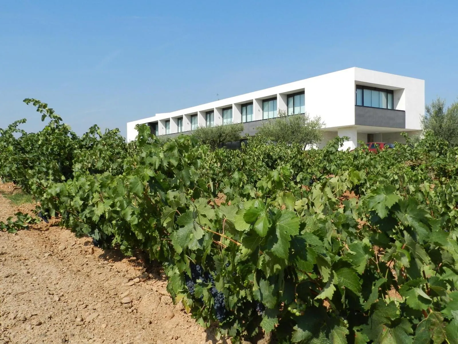 Property building in Hotel-Bodega Finca de Los Arandinos