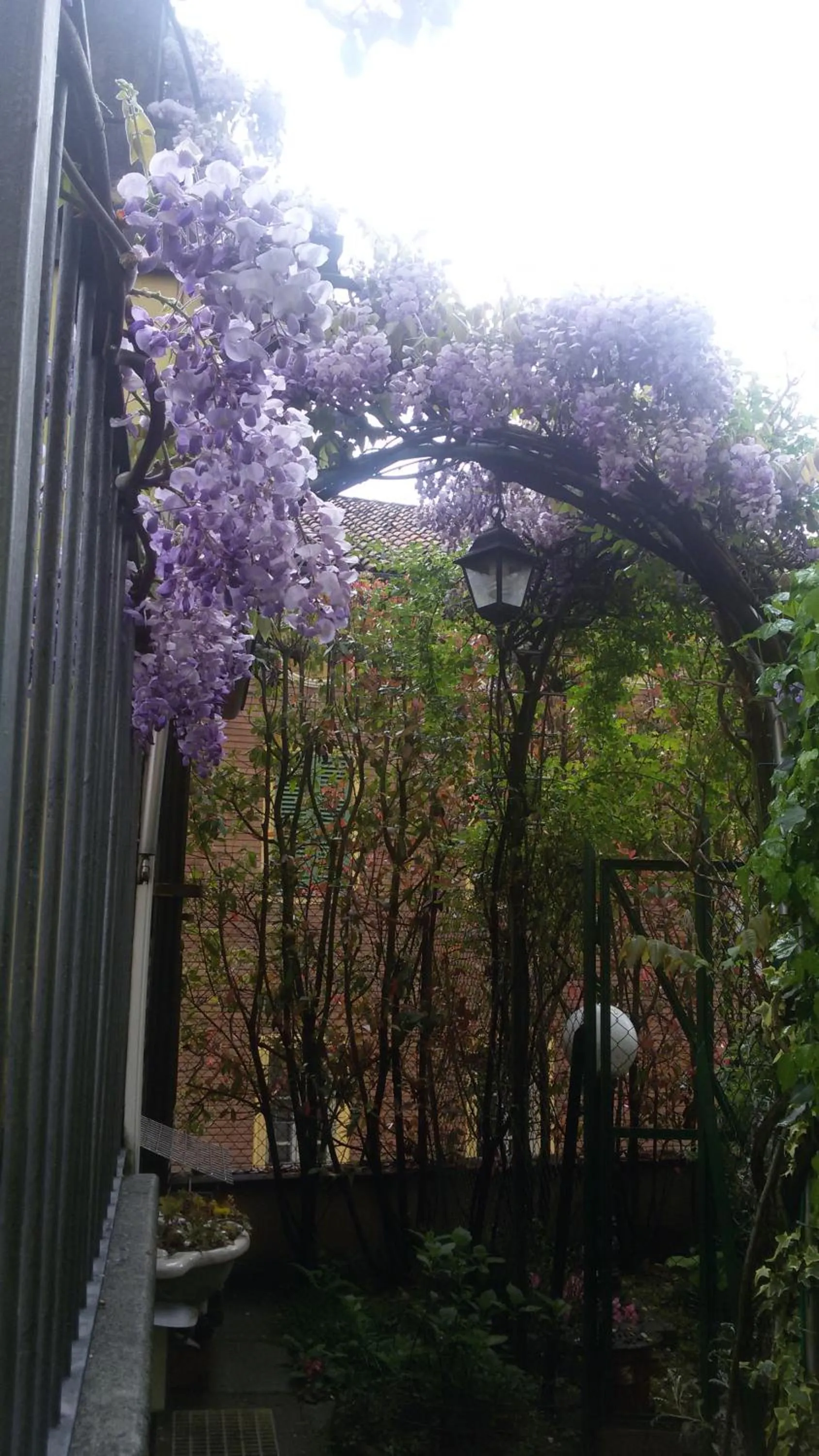 Garden in B&B IL TERRAZZO