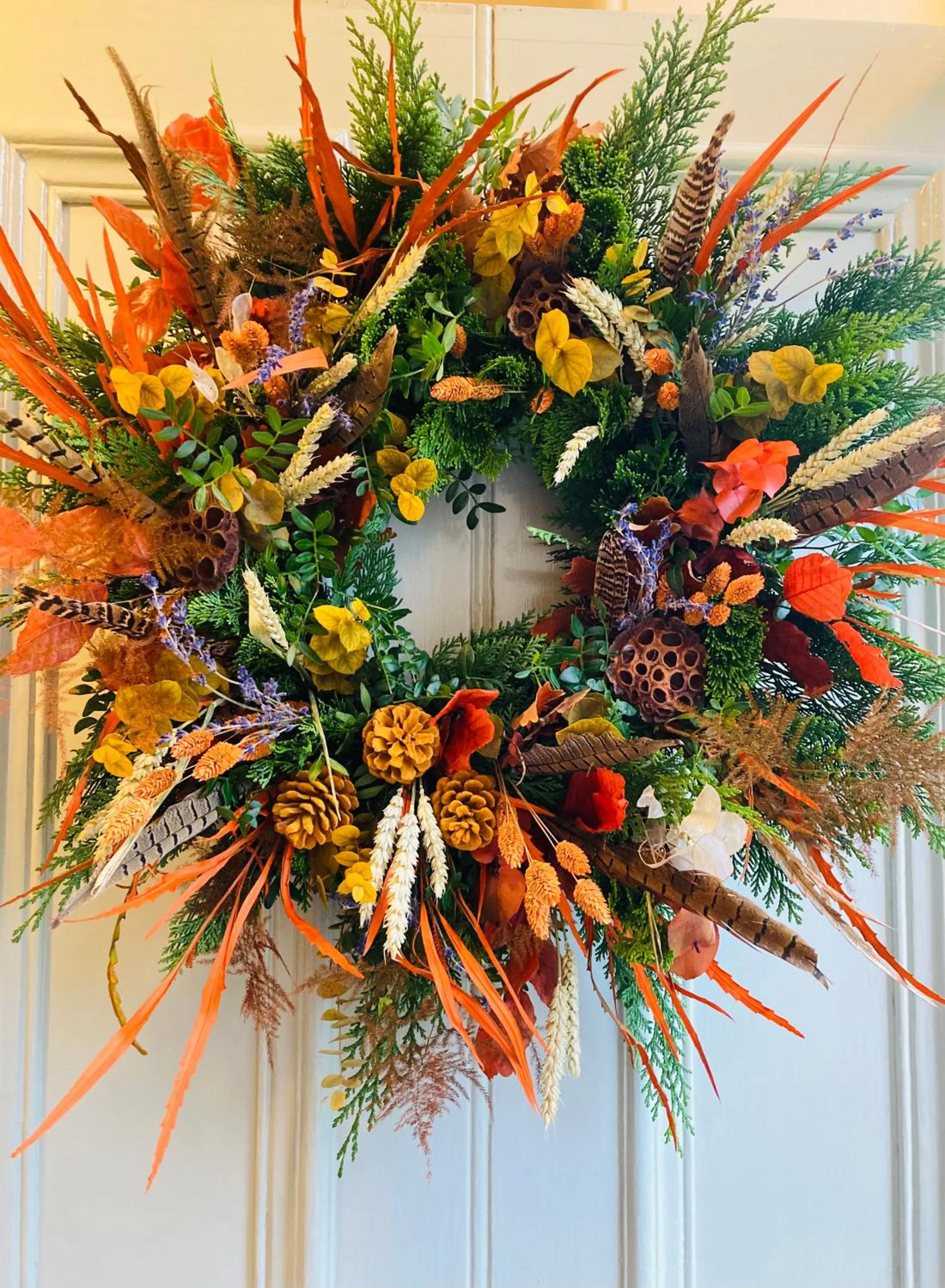 Property building in Fernbank House