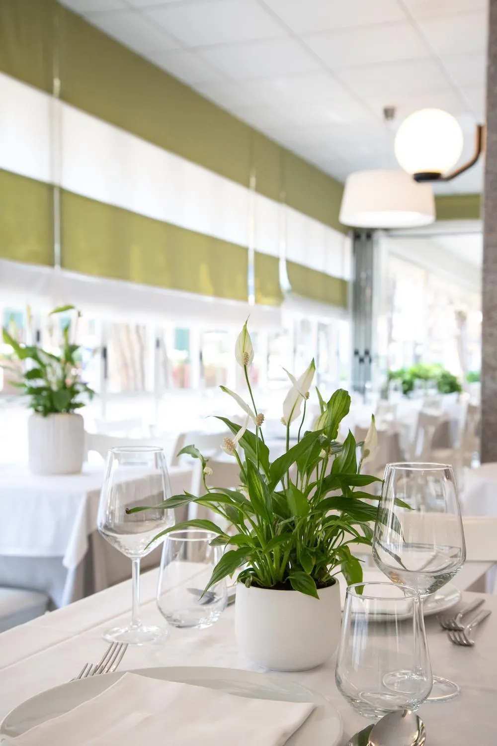 Hotel Grottamare