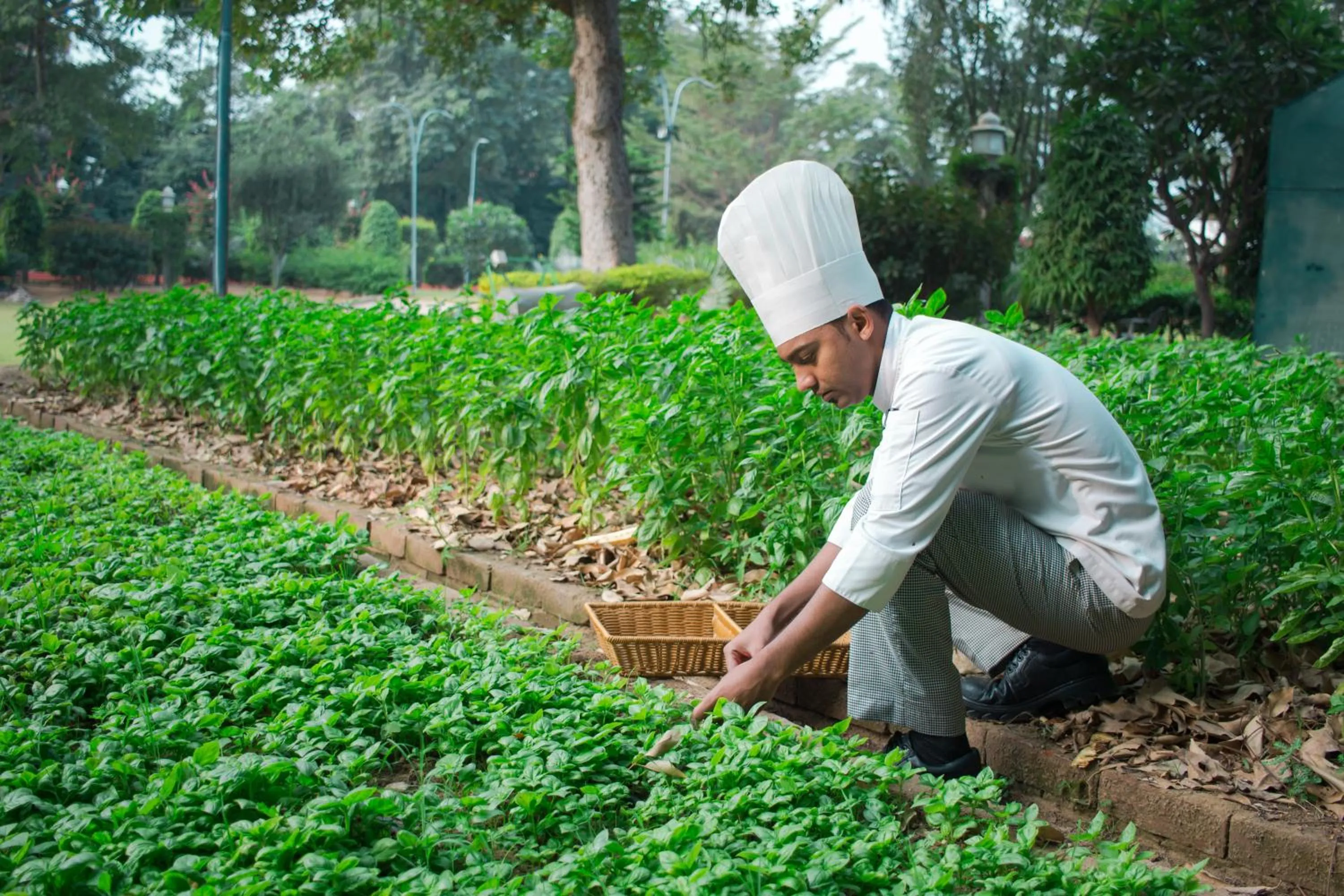 Staff in Clarks Amer