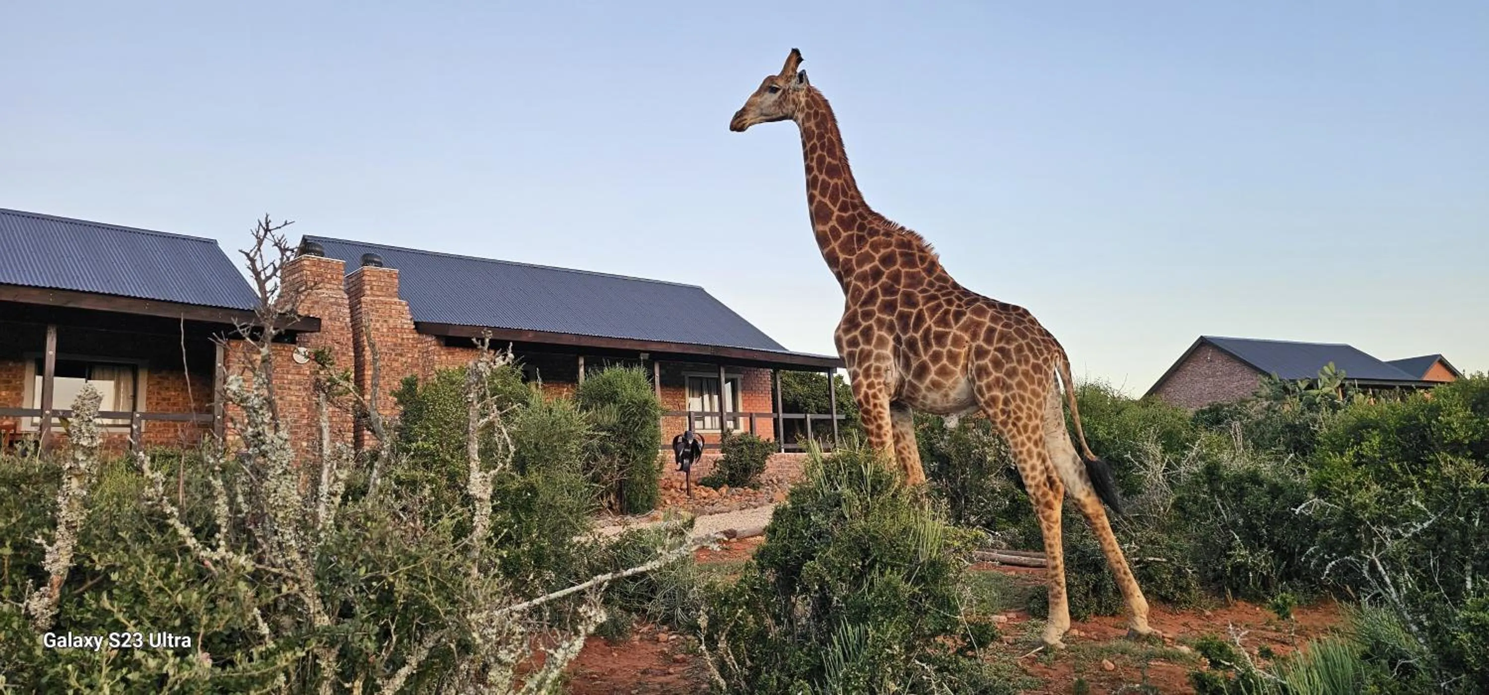 Valley Bushveld Country Lodge
