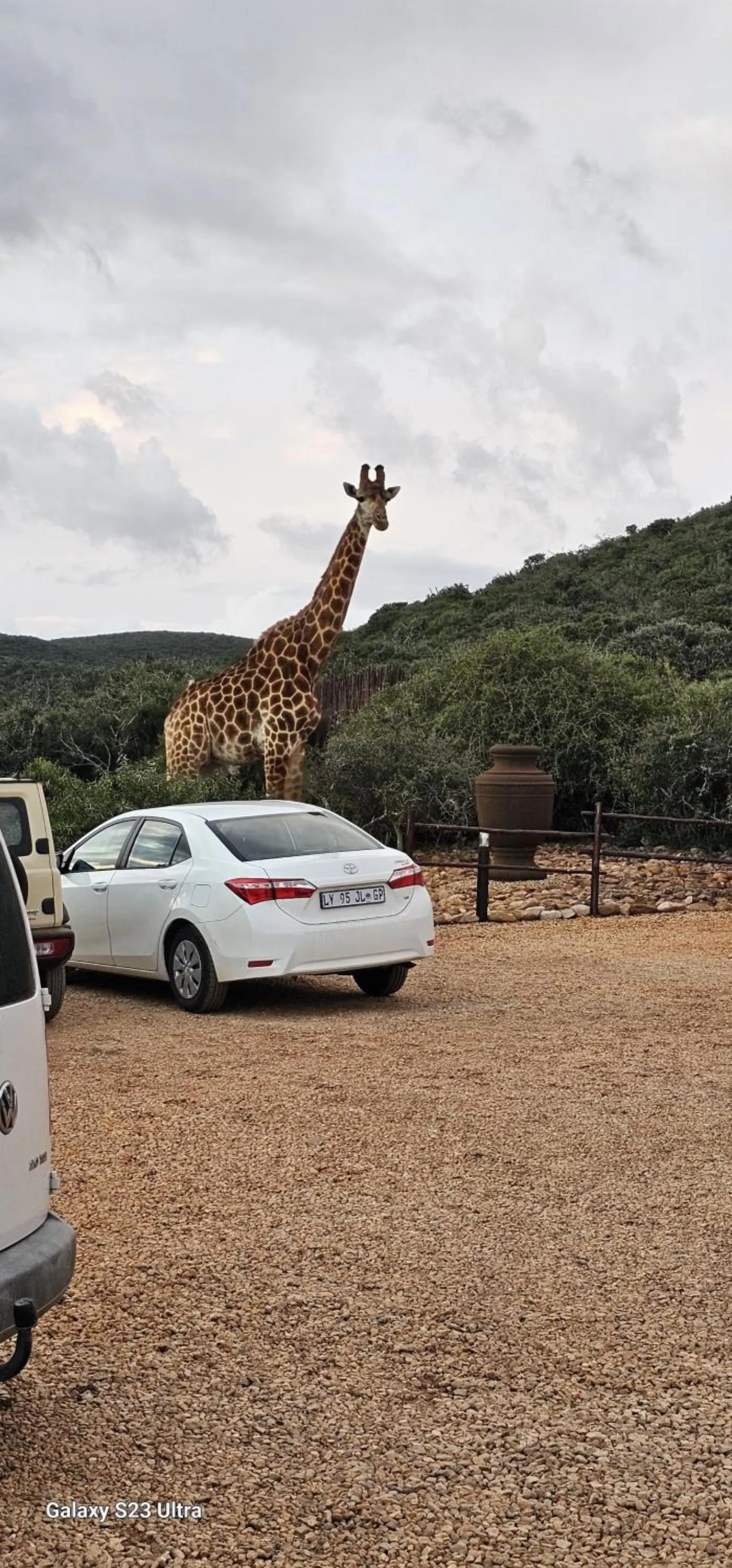 Animals in Valley Bushveld Country Lodge
