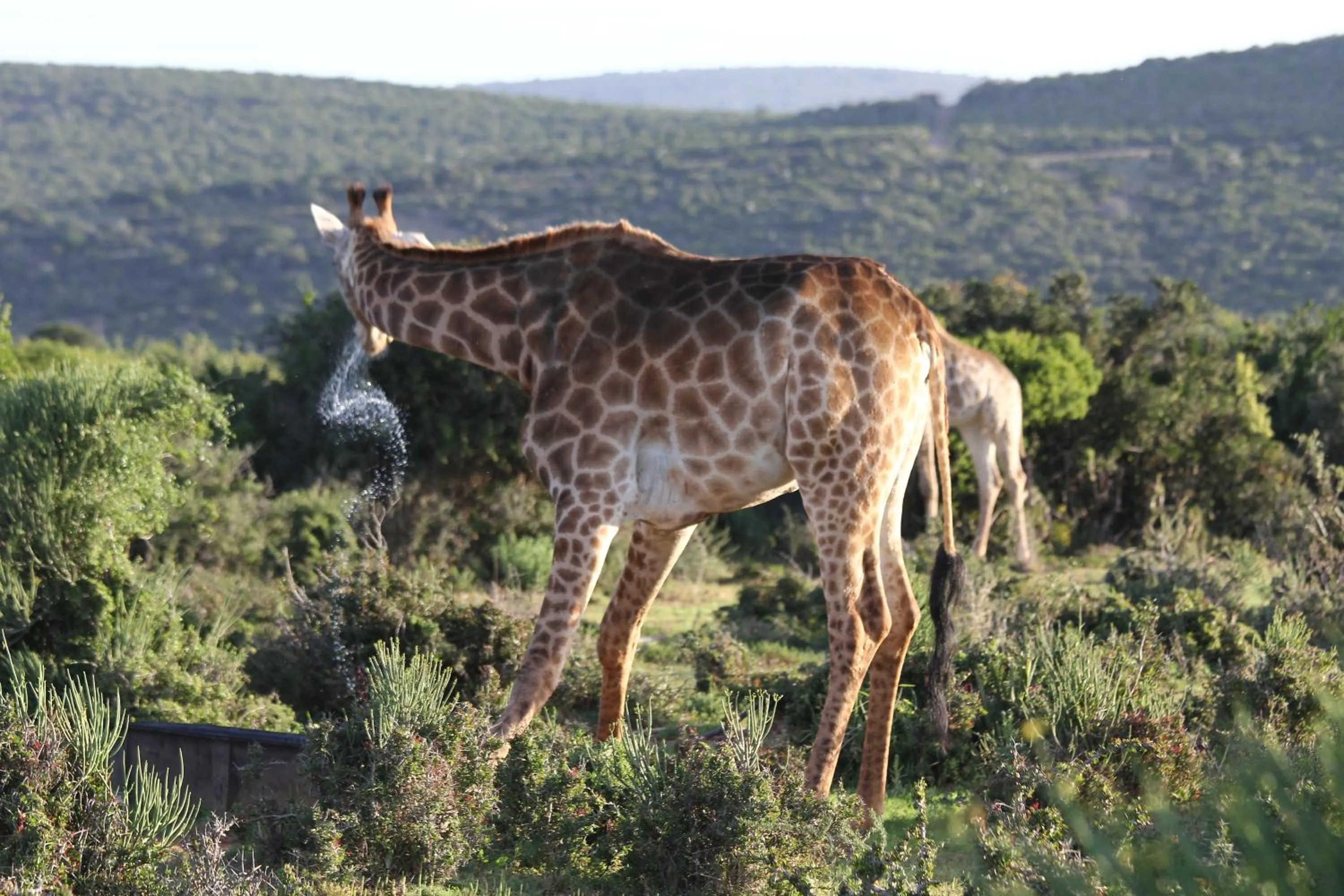 Day in Valley Bushveld Country Lodge