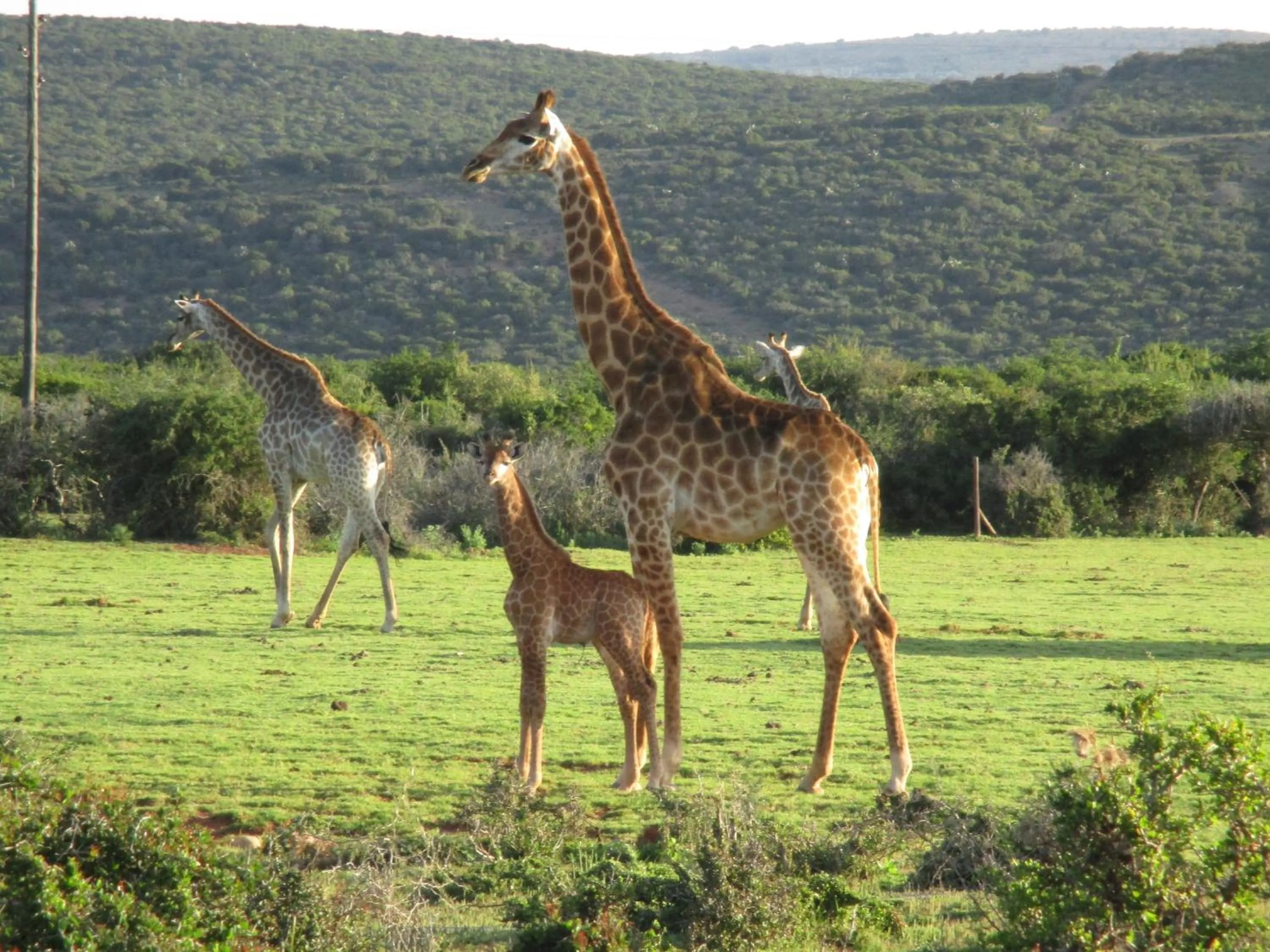Day in Valley Bushveld Country Lodge