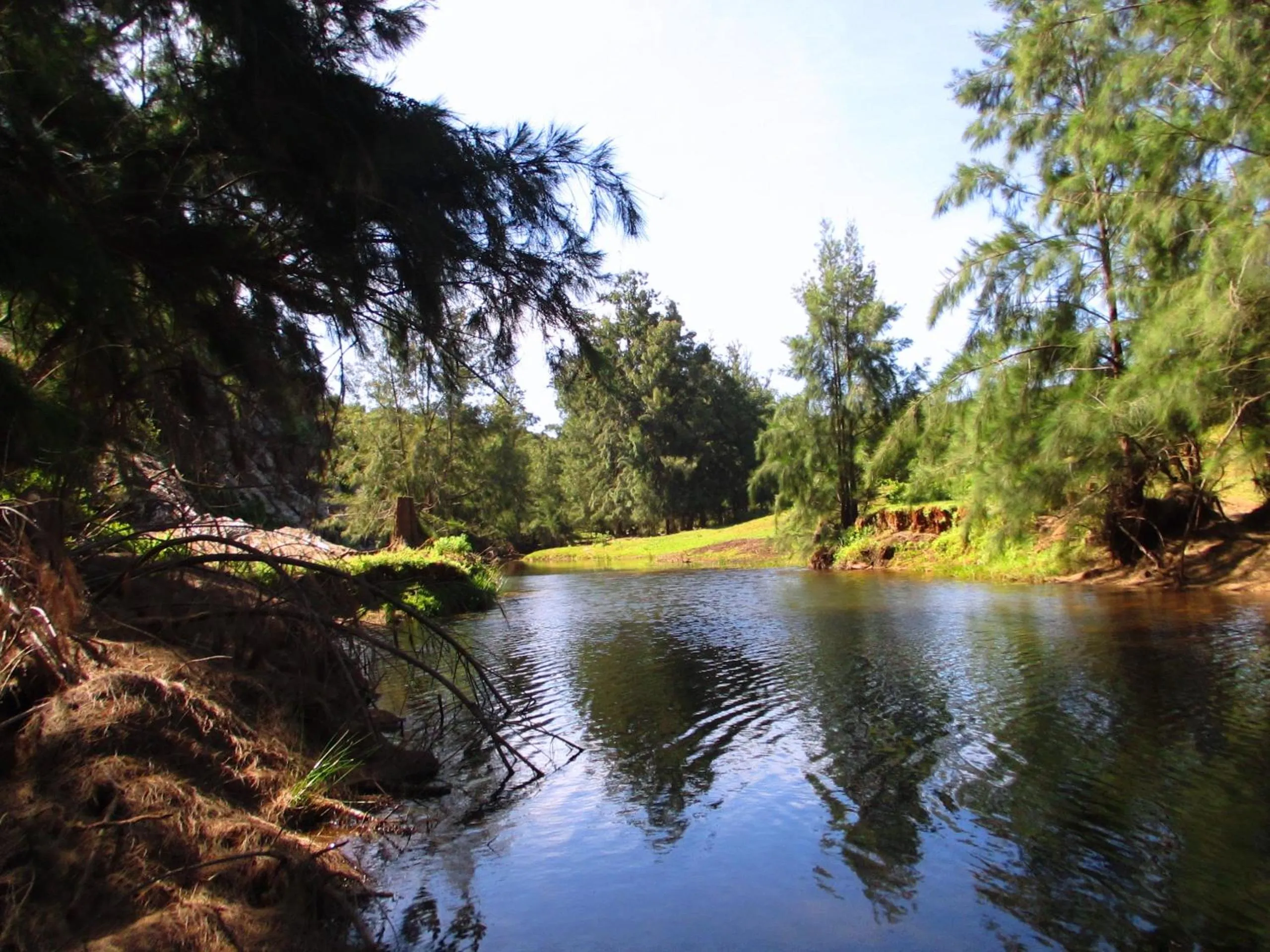 Day in Valley Bushveld Country Lodge