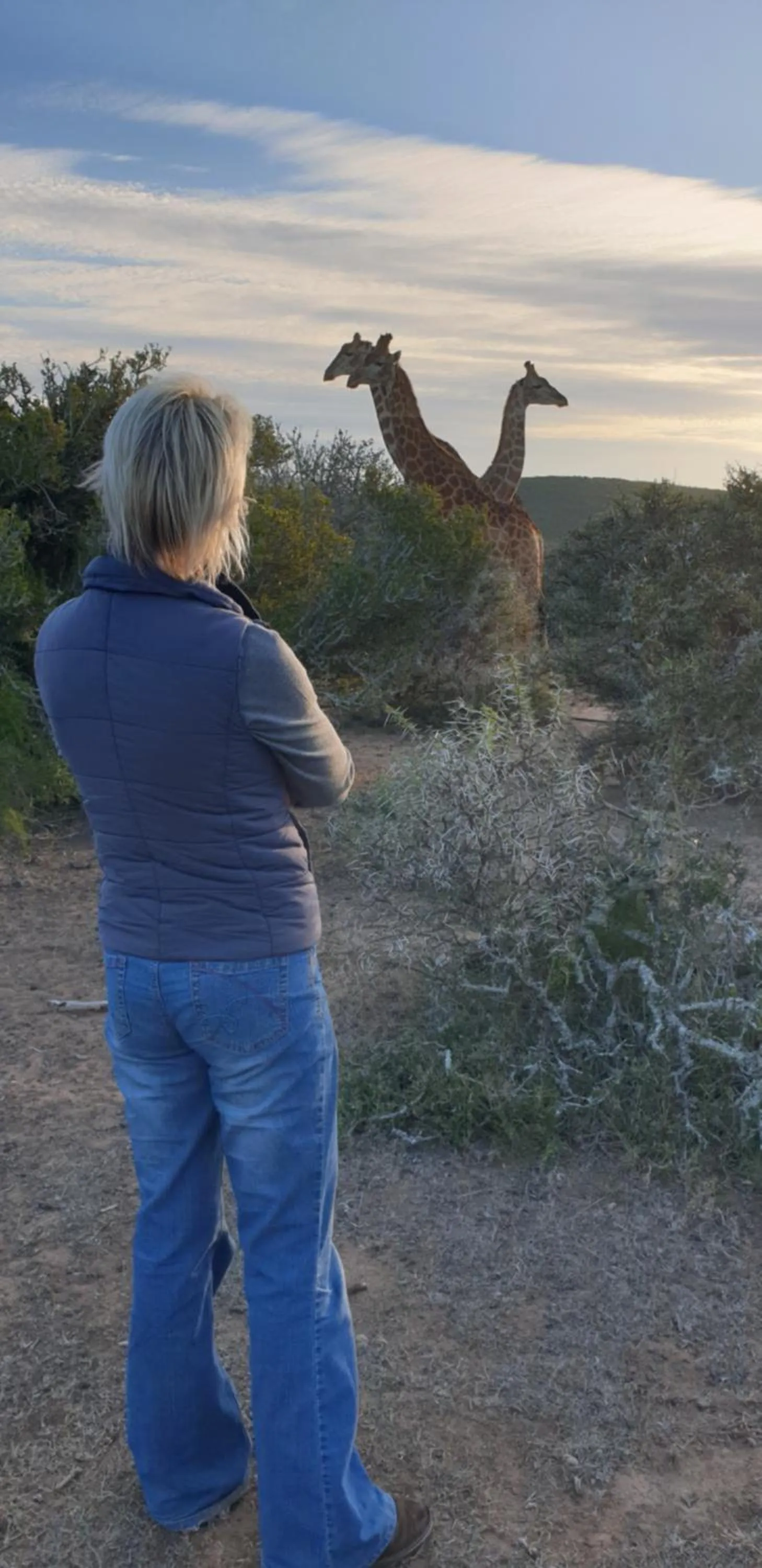 Animals in Valley Bushveld Country Lodge