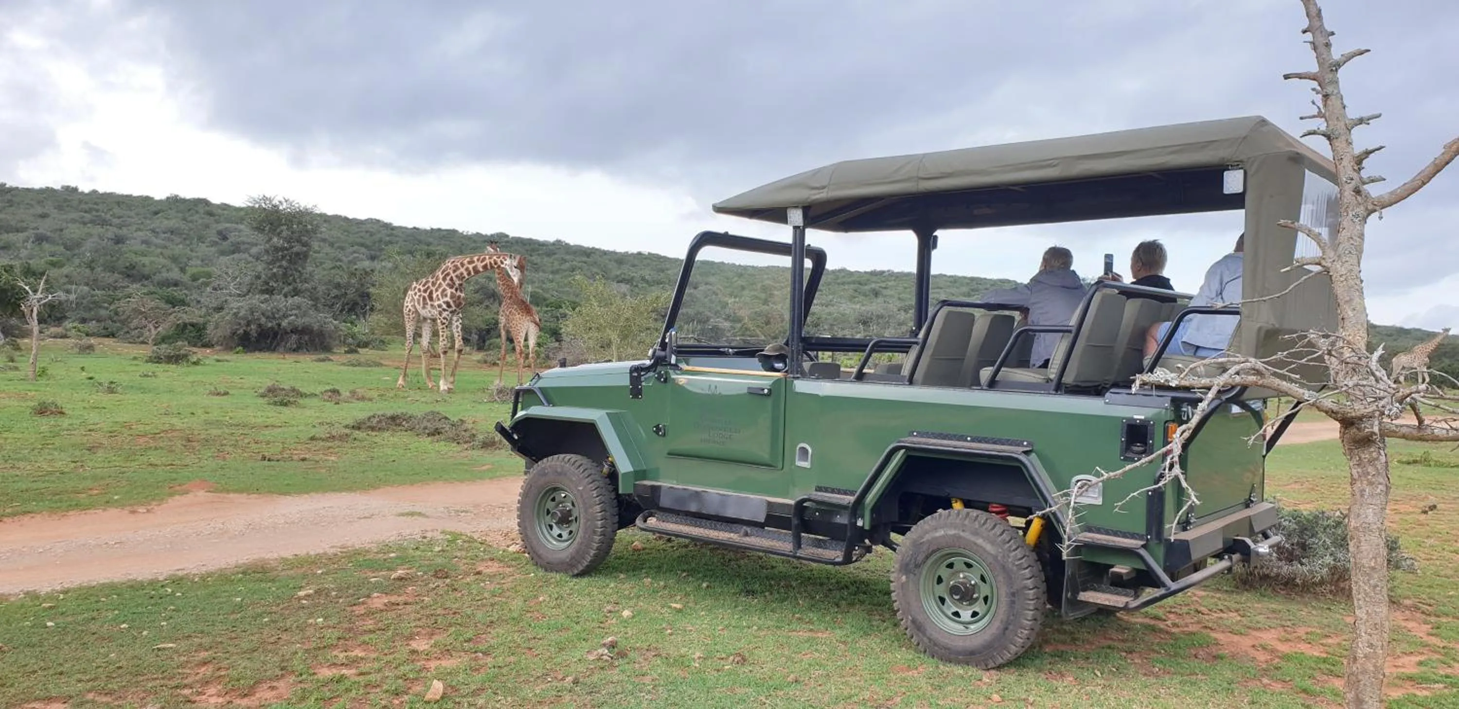 Animals in Valley Bushveld Country Lodge