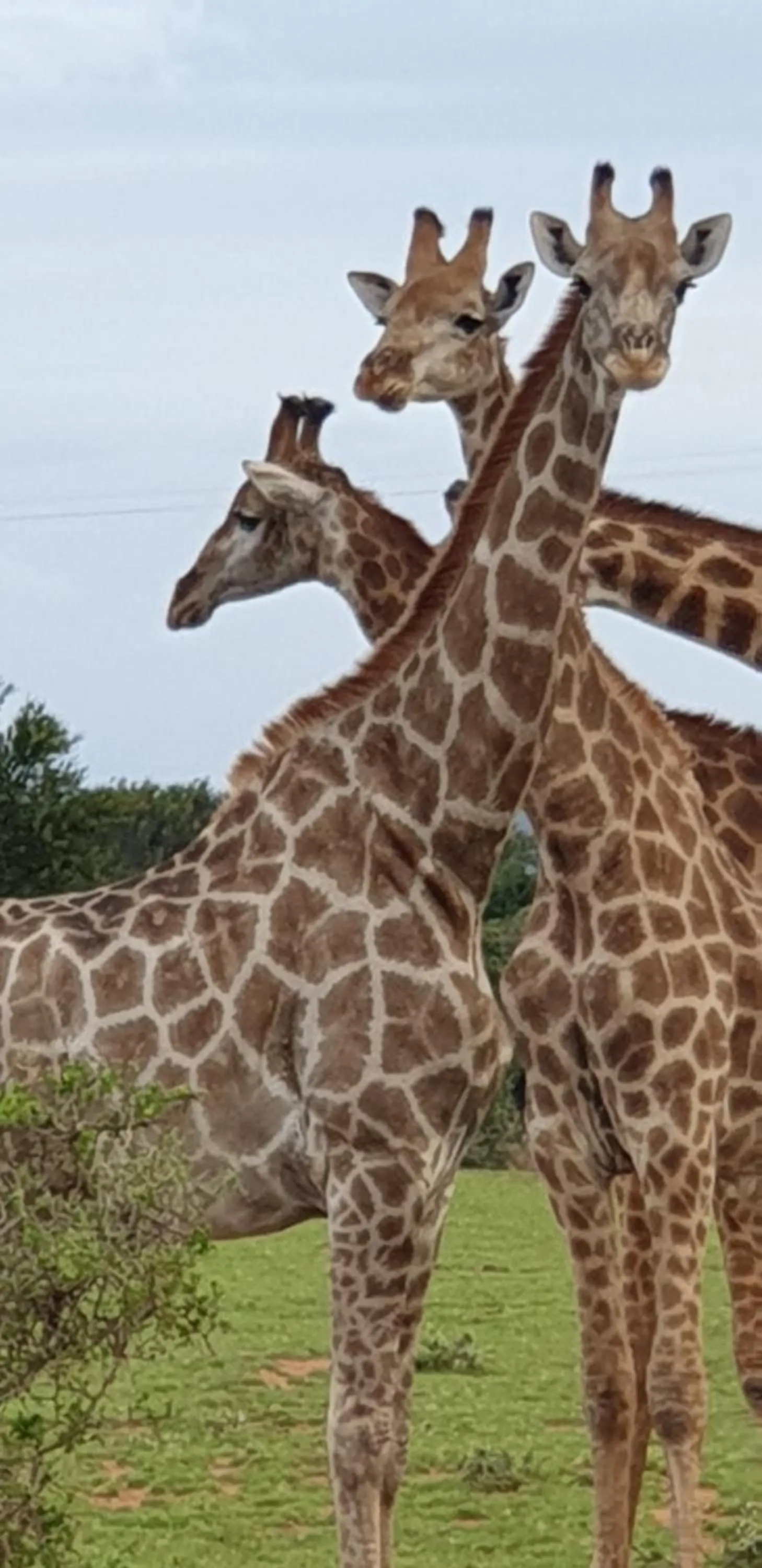 Property building in Valley Bushveld Country Lodge