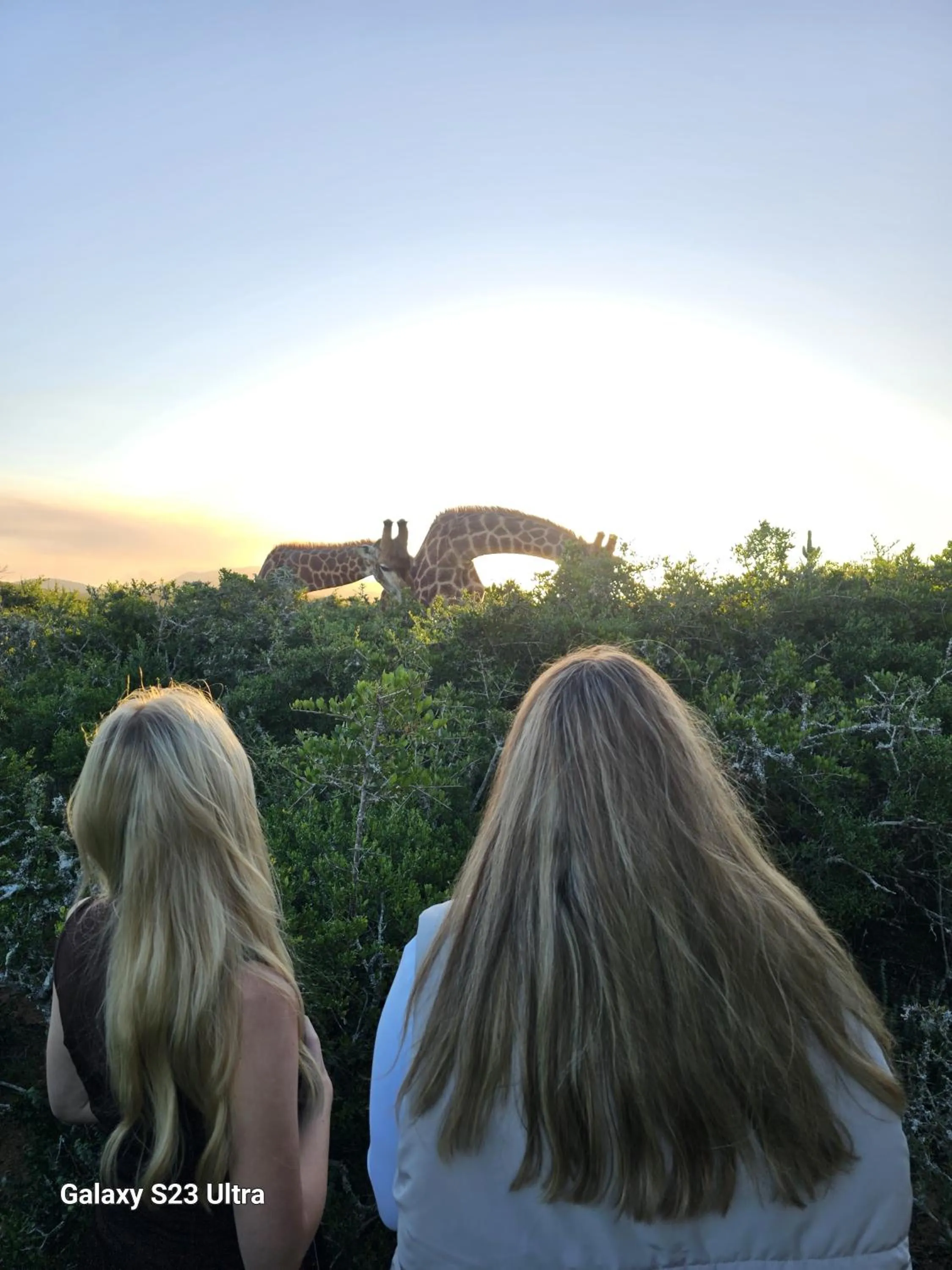 Animals in Valley Bushveld Country Lodge