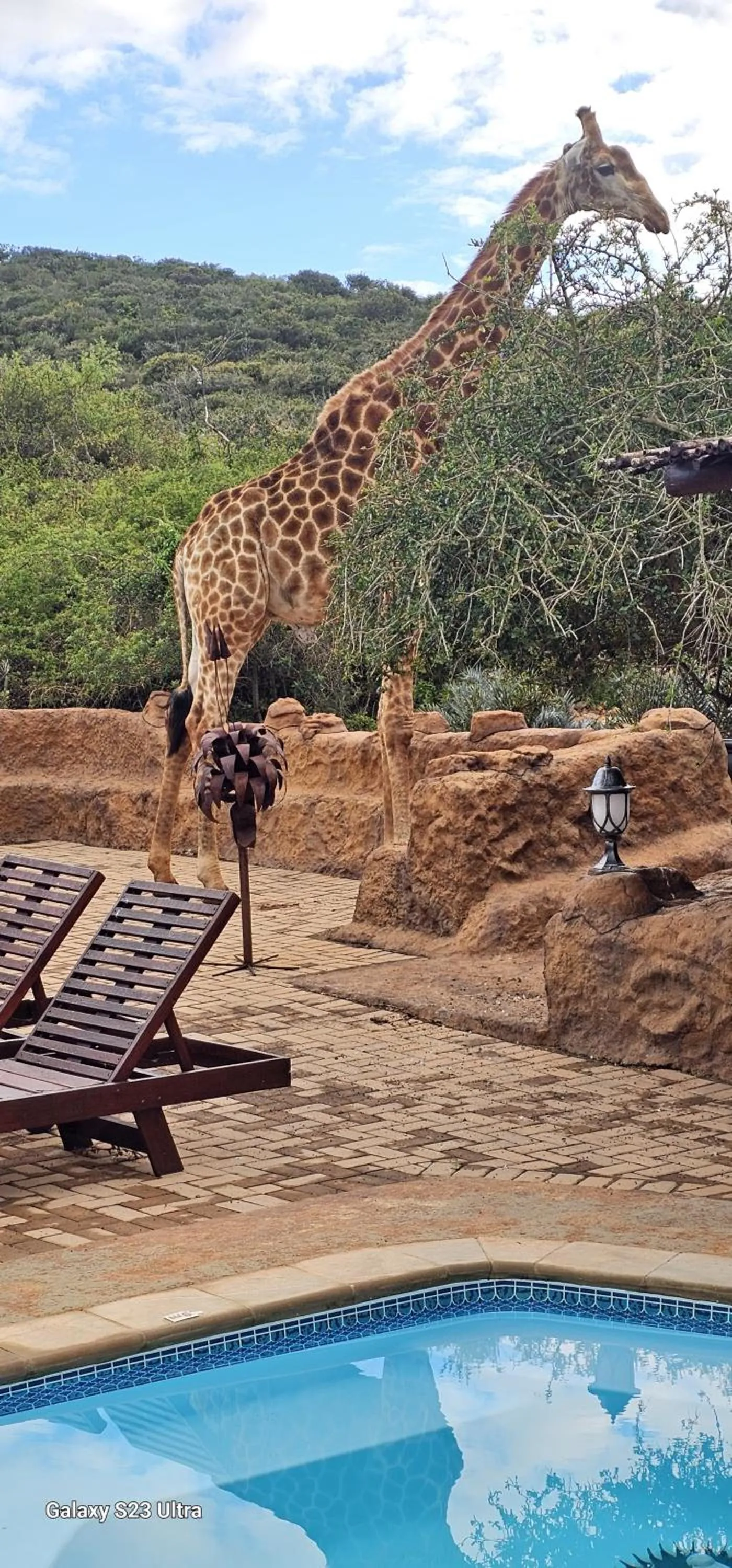 Animals in Valley Bushveld Country Lodge