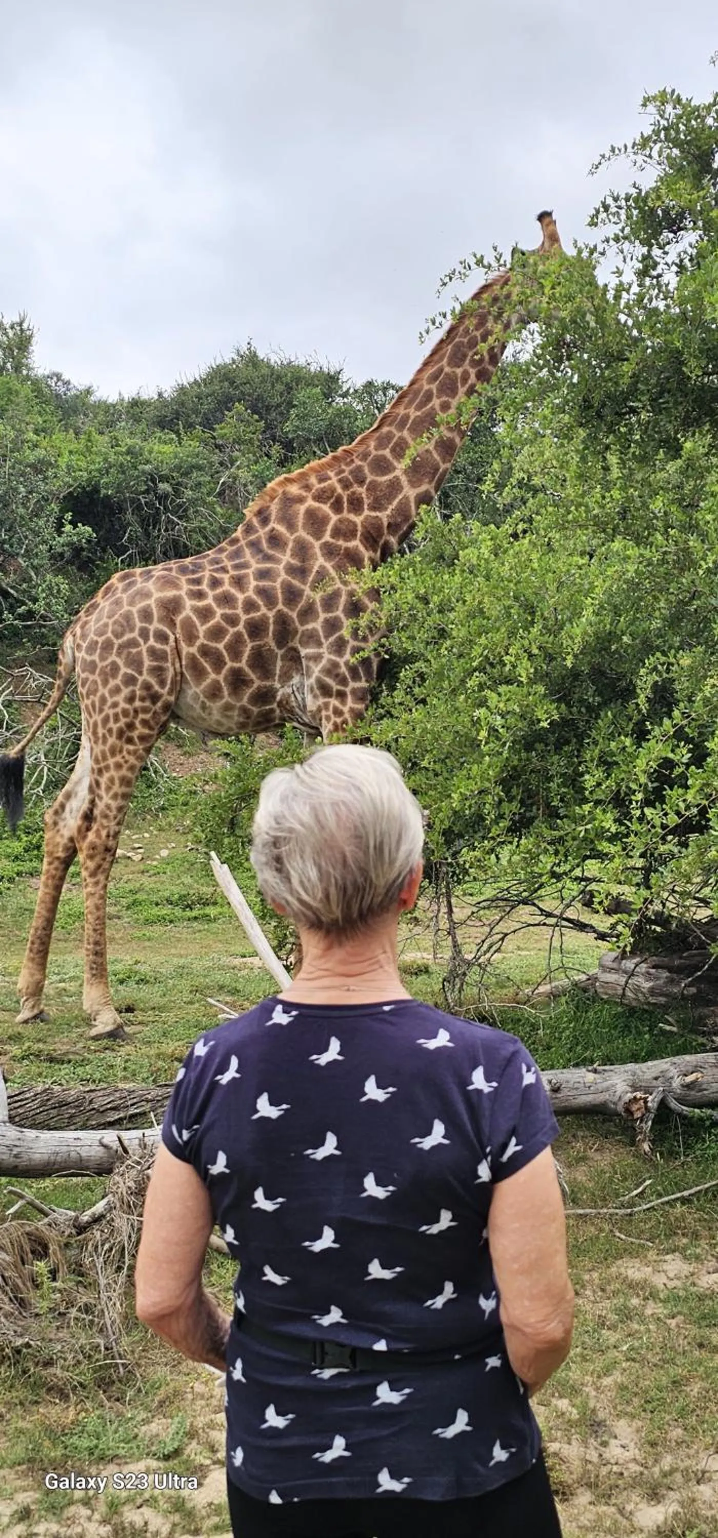 Activities in Valley Bushveld Country Lodge