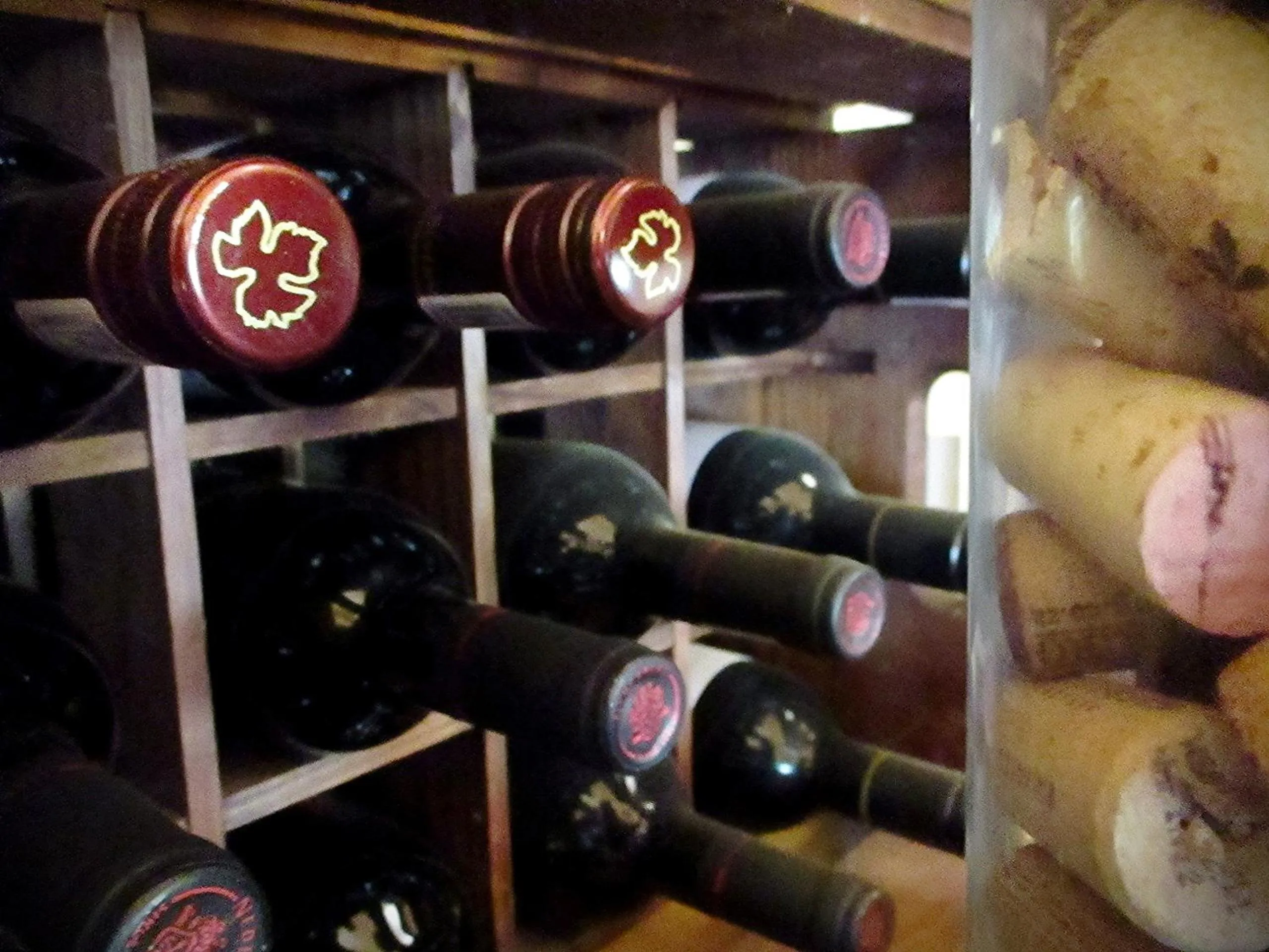 Lounge or bar in Valley Bushveld Country Lodge