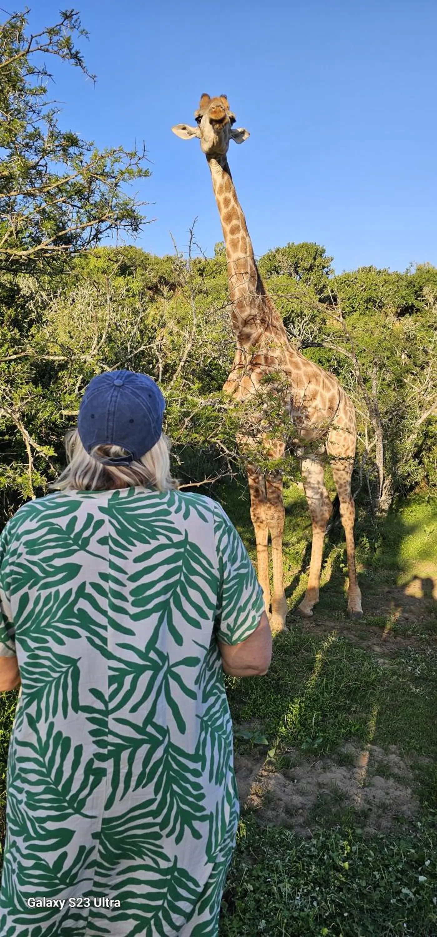 Activities in Valley Bushveld Country Lodge