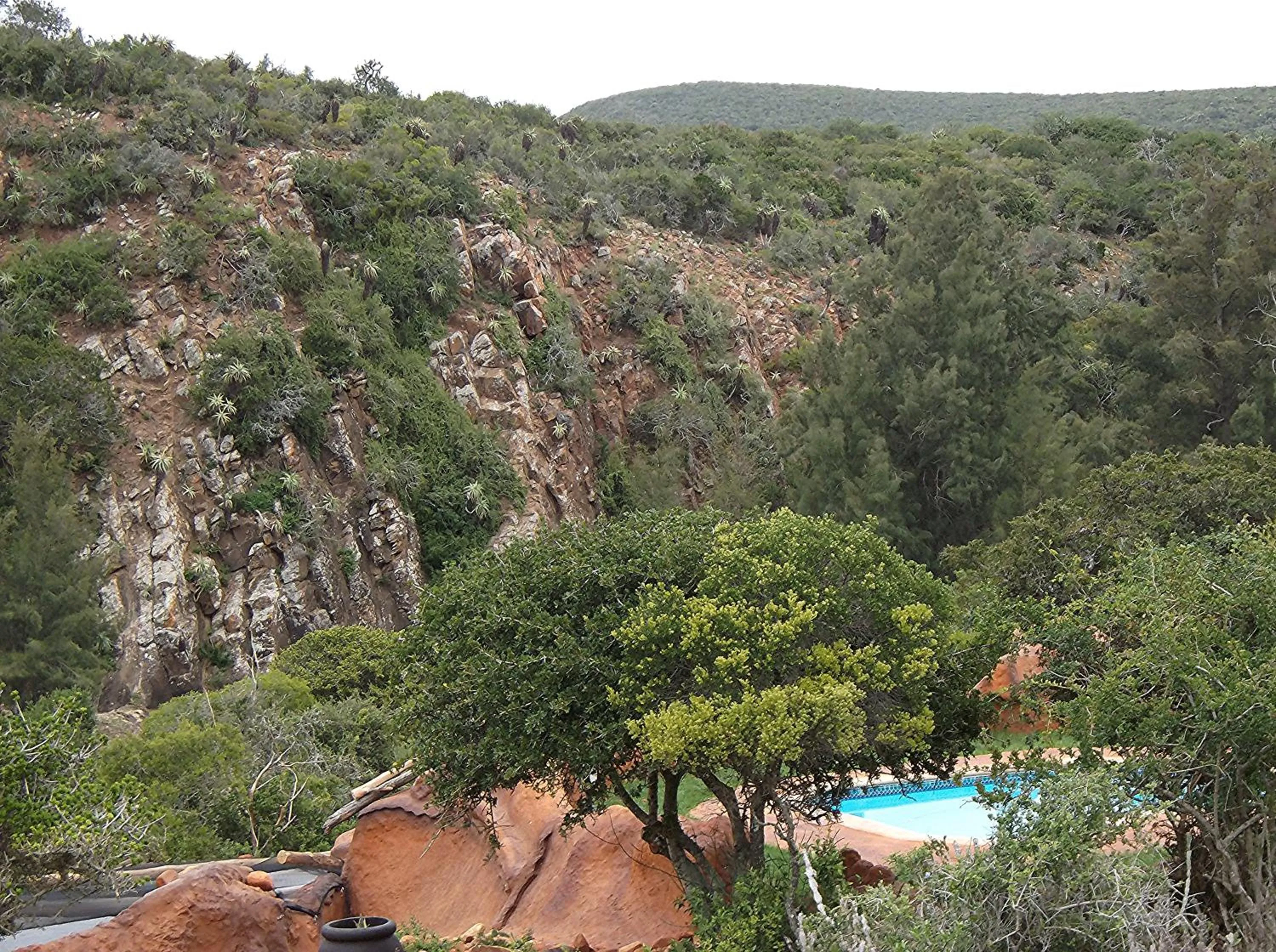 Garden in Valley Bushveld Country Lodge
