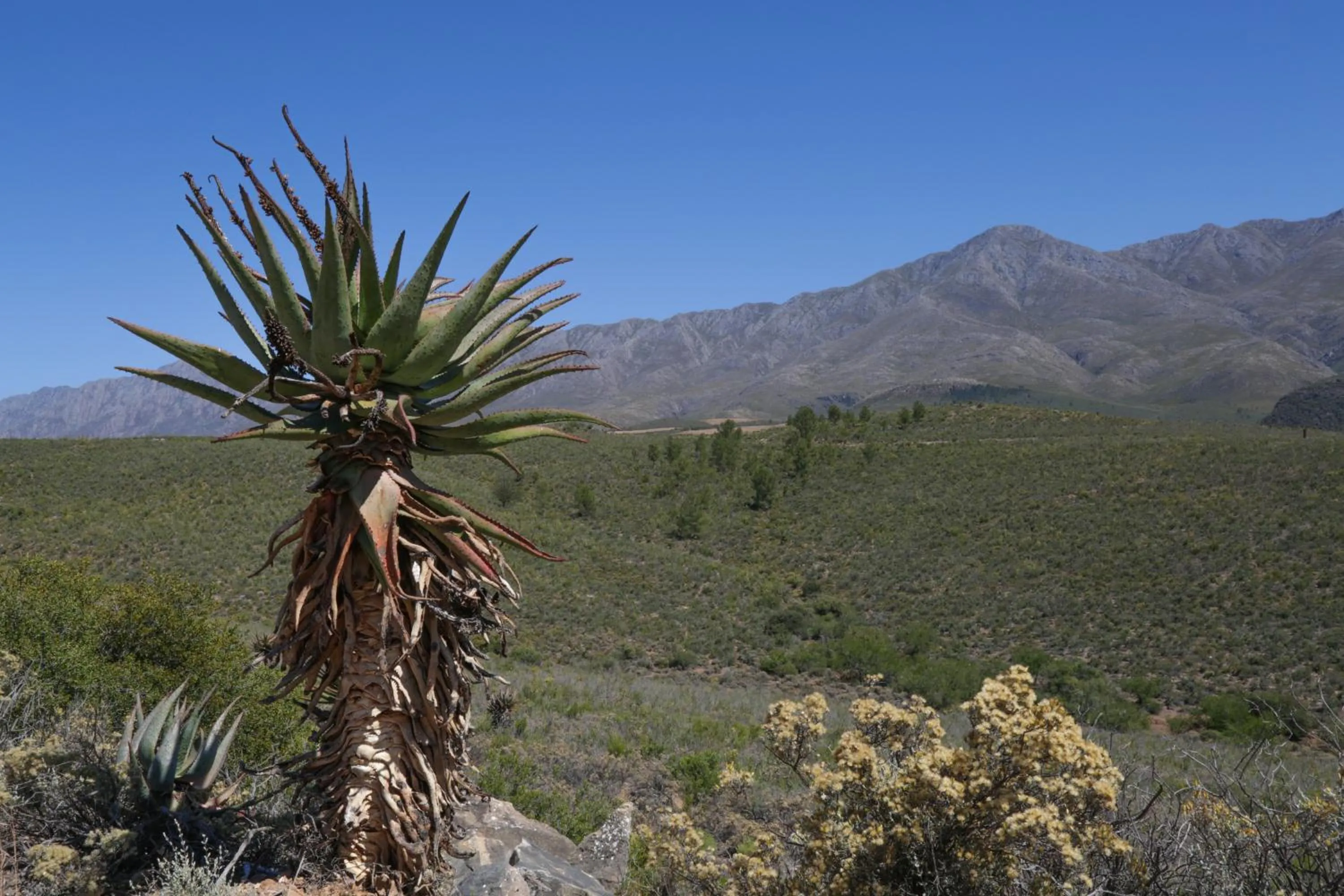 Natural landscape in De Oude Meul Country Lodge & Restaurant