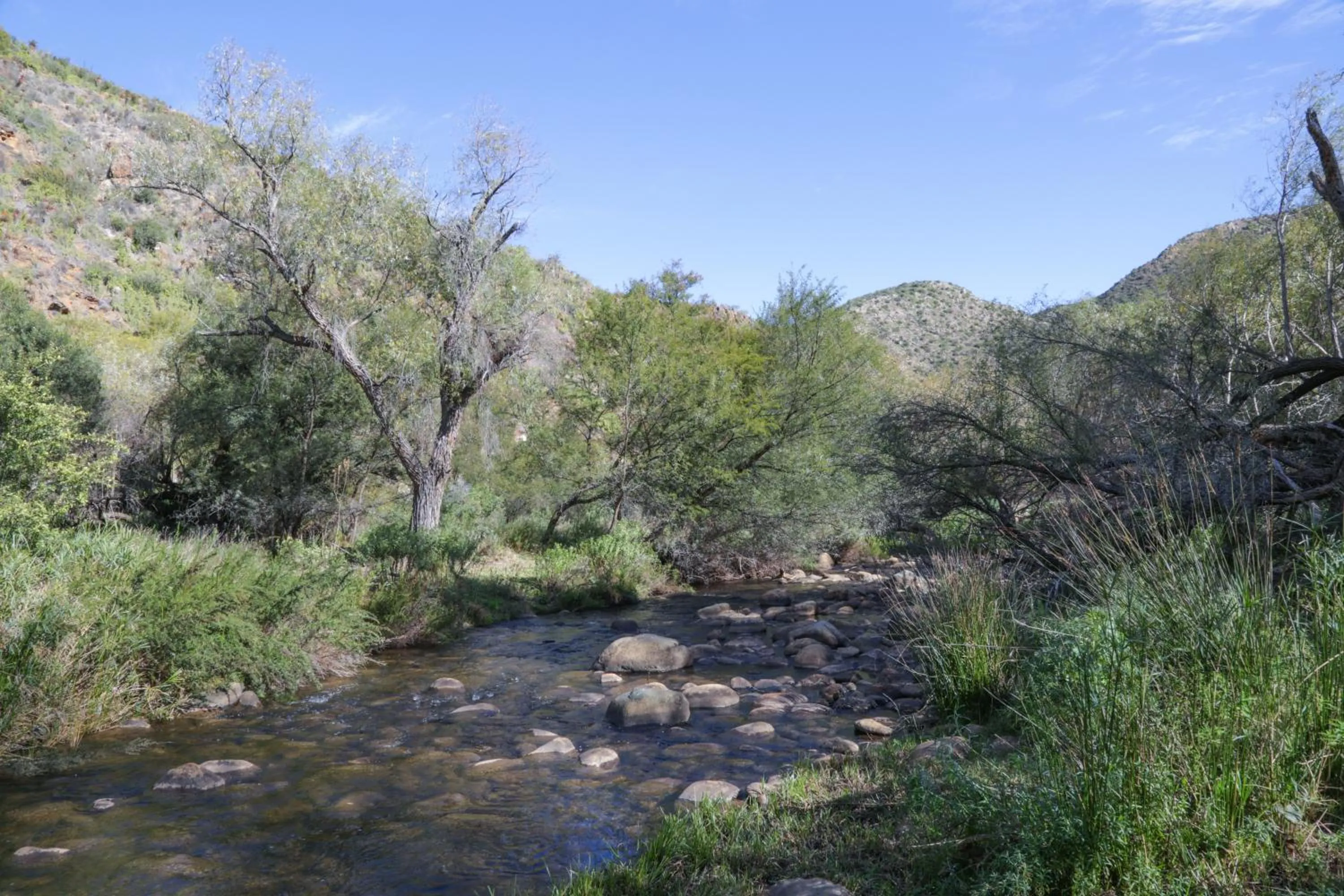 River view in De Oude Meul Country Lodge & Restaurant