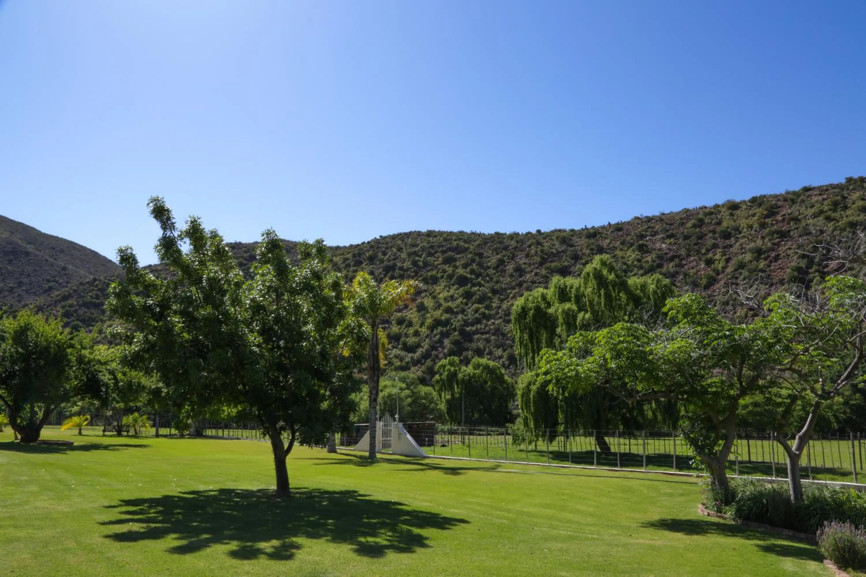 Garden in De Oude Meul Country Lodge & Restaurant