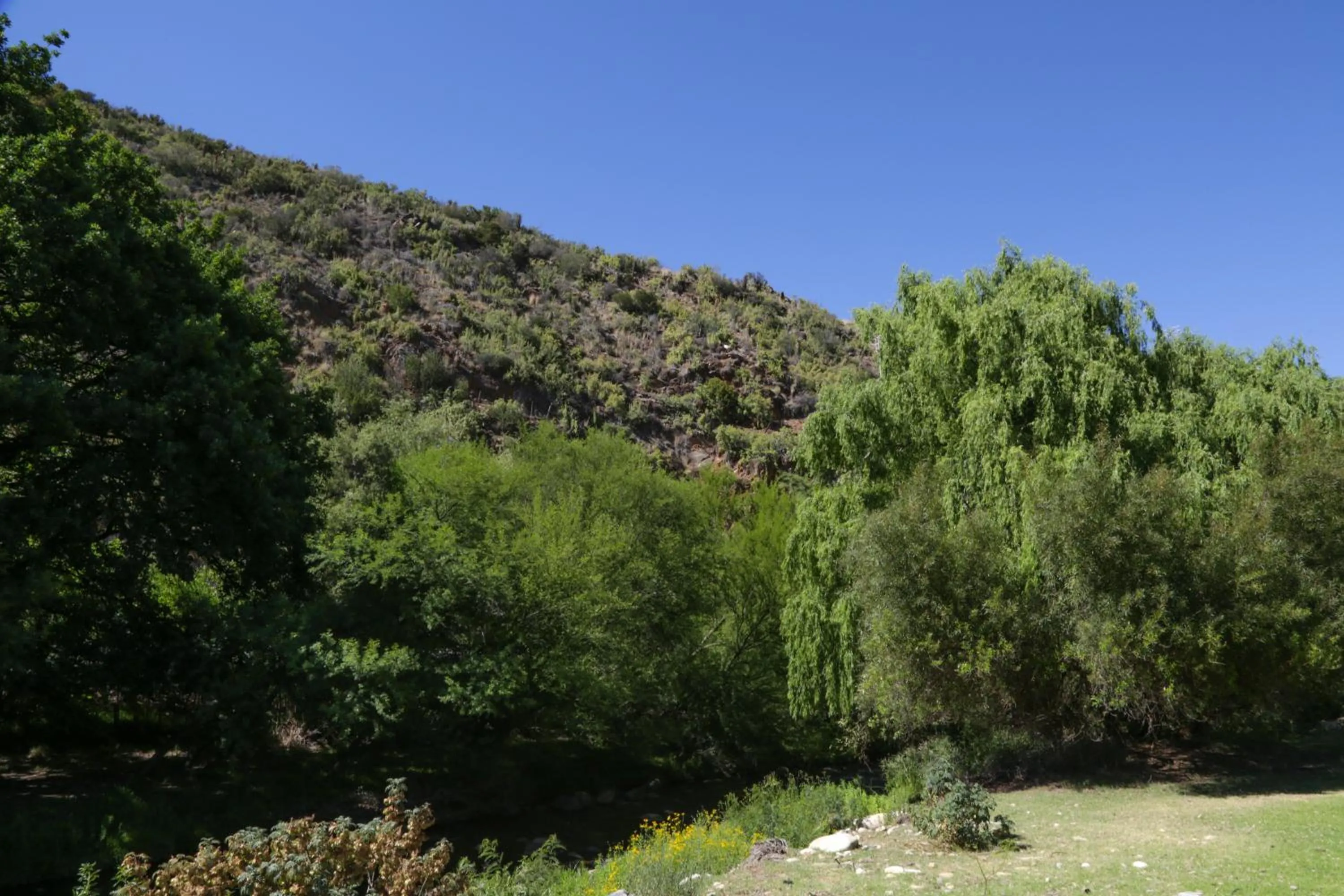 Natural landscape in De Oude Meul Country Lodge & Restaurant
